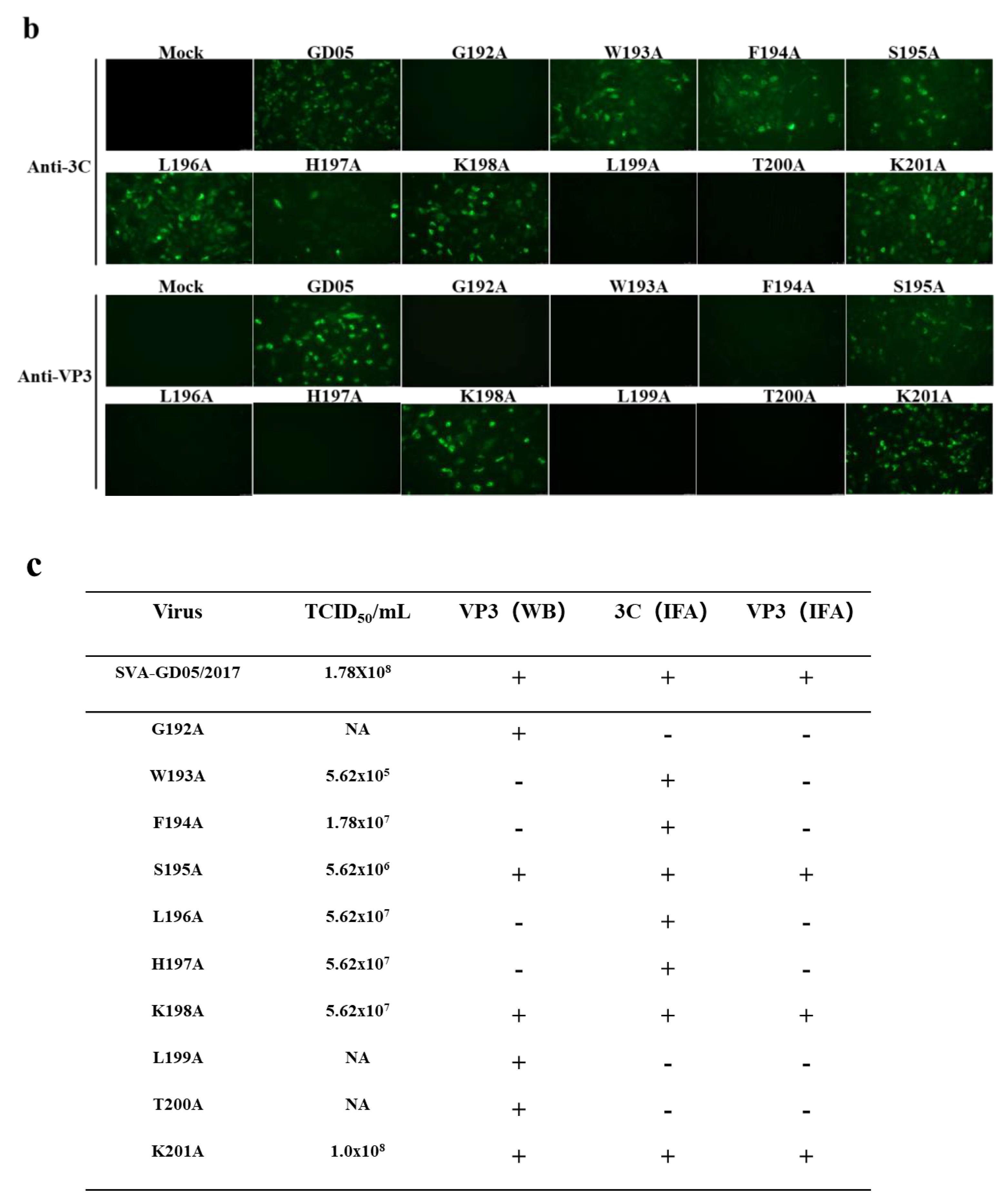 Viruses 13 02300 g008b