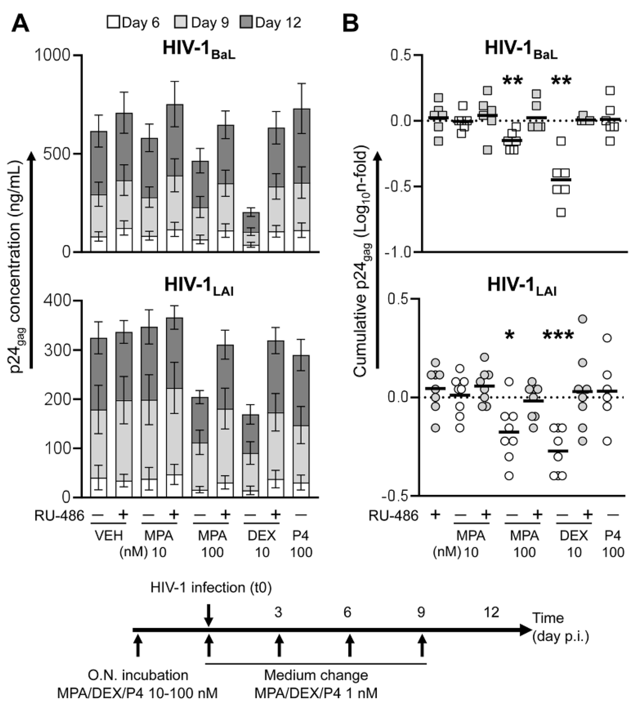 Viruses 13 02303 g001