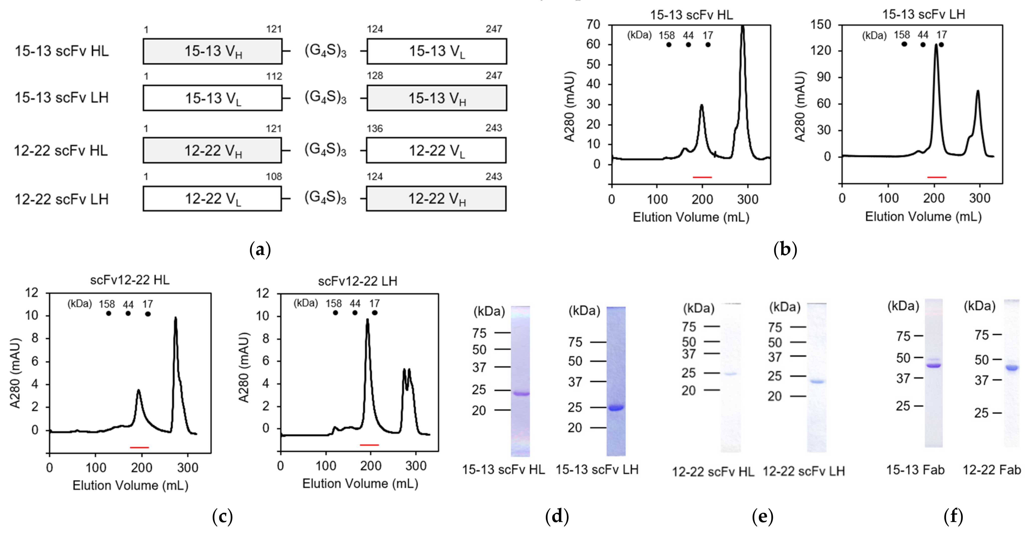 Viruses 13 02311 g002