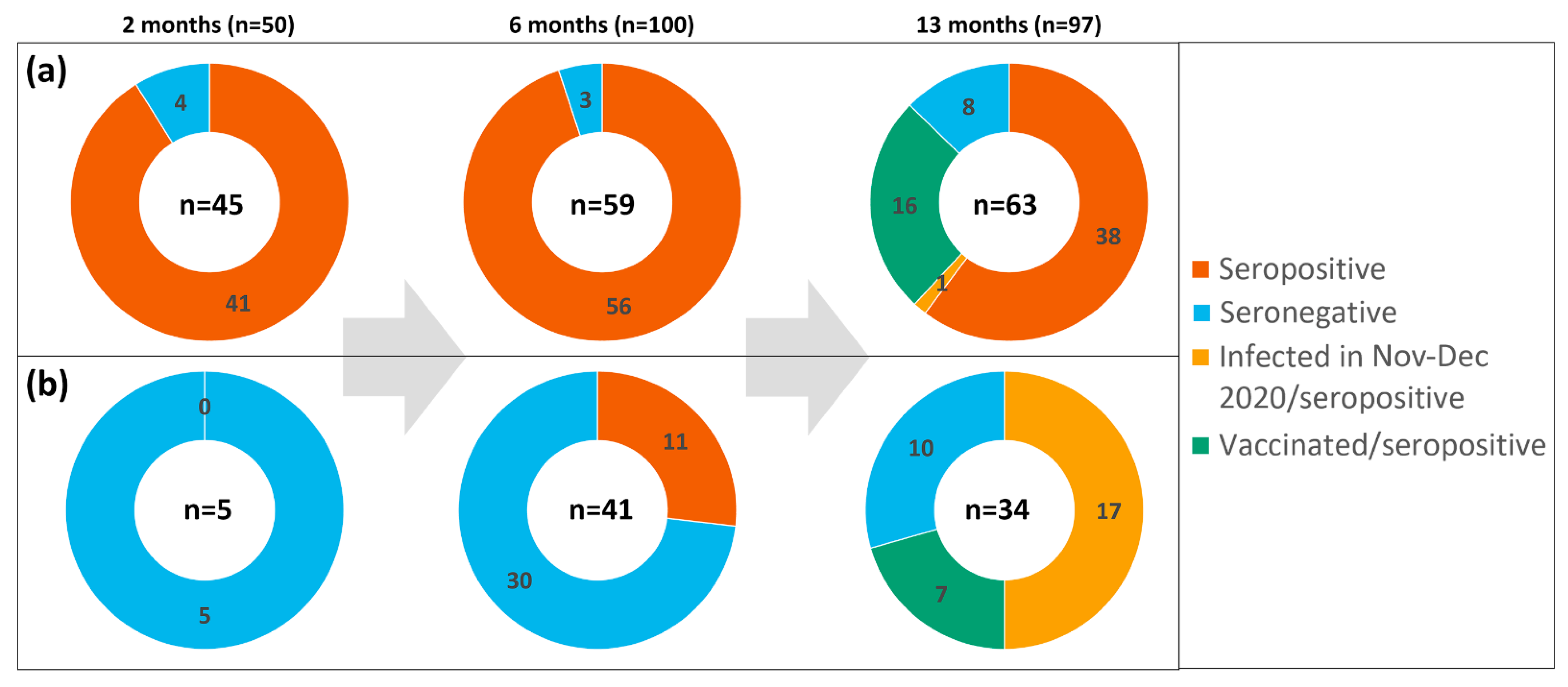 Viruses 13 02313 g002