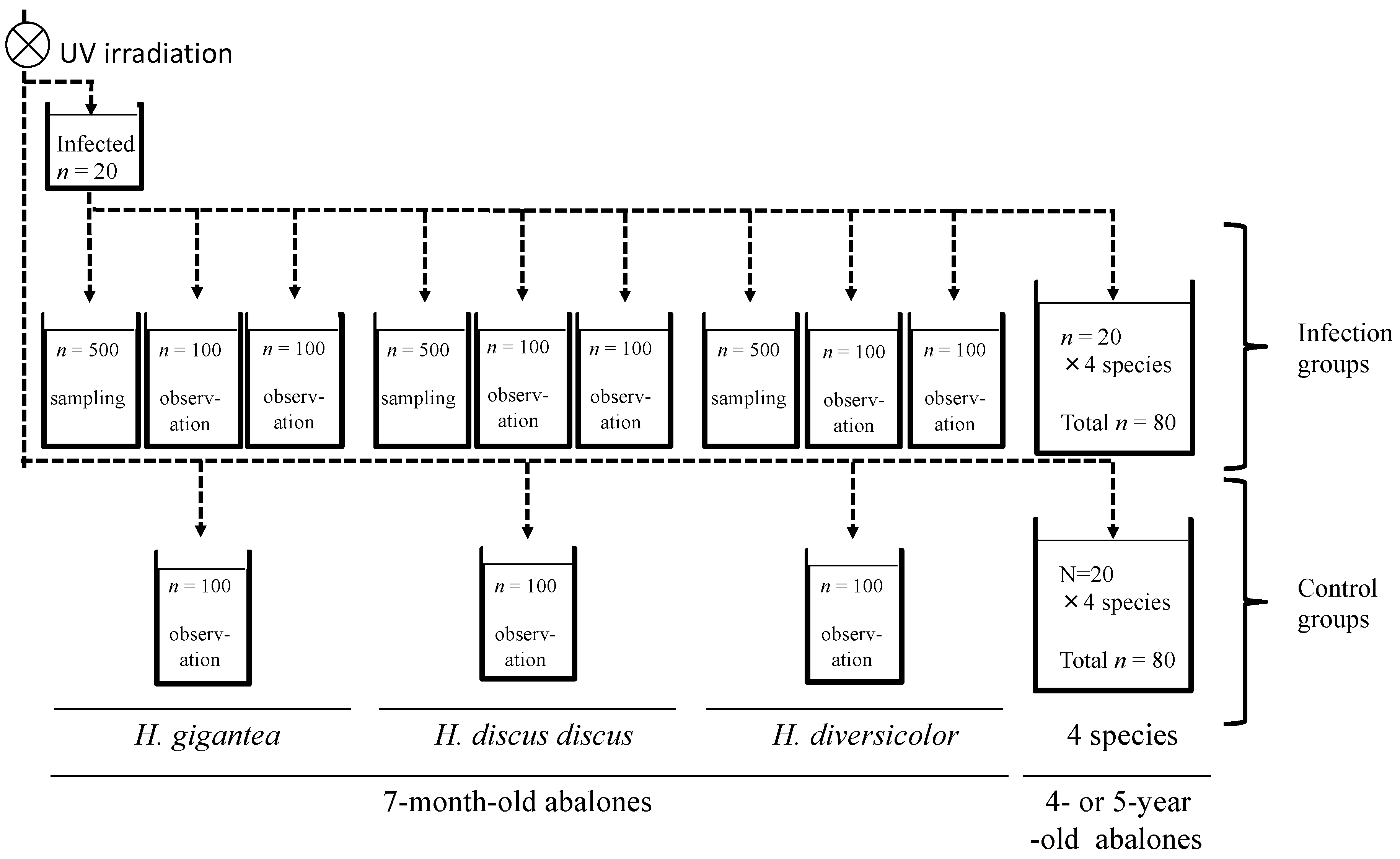 Viruses 13 02315 g001