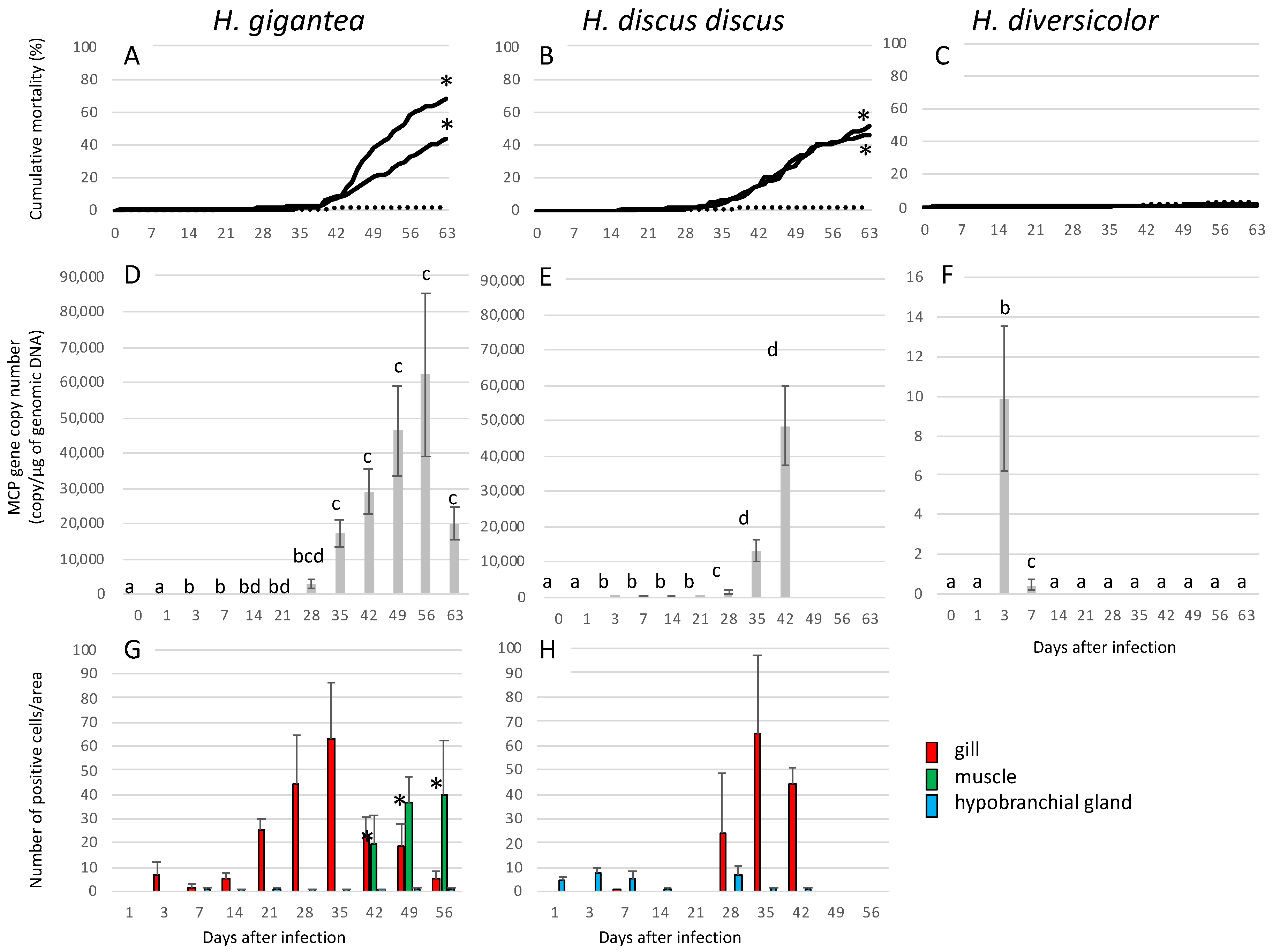 Viruses 13 02315 g004