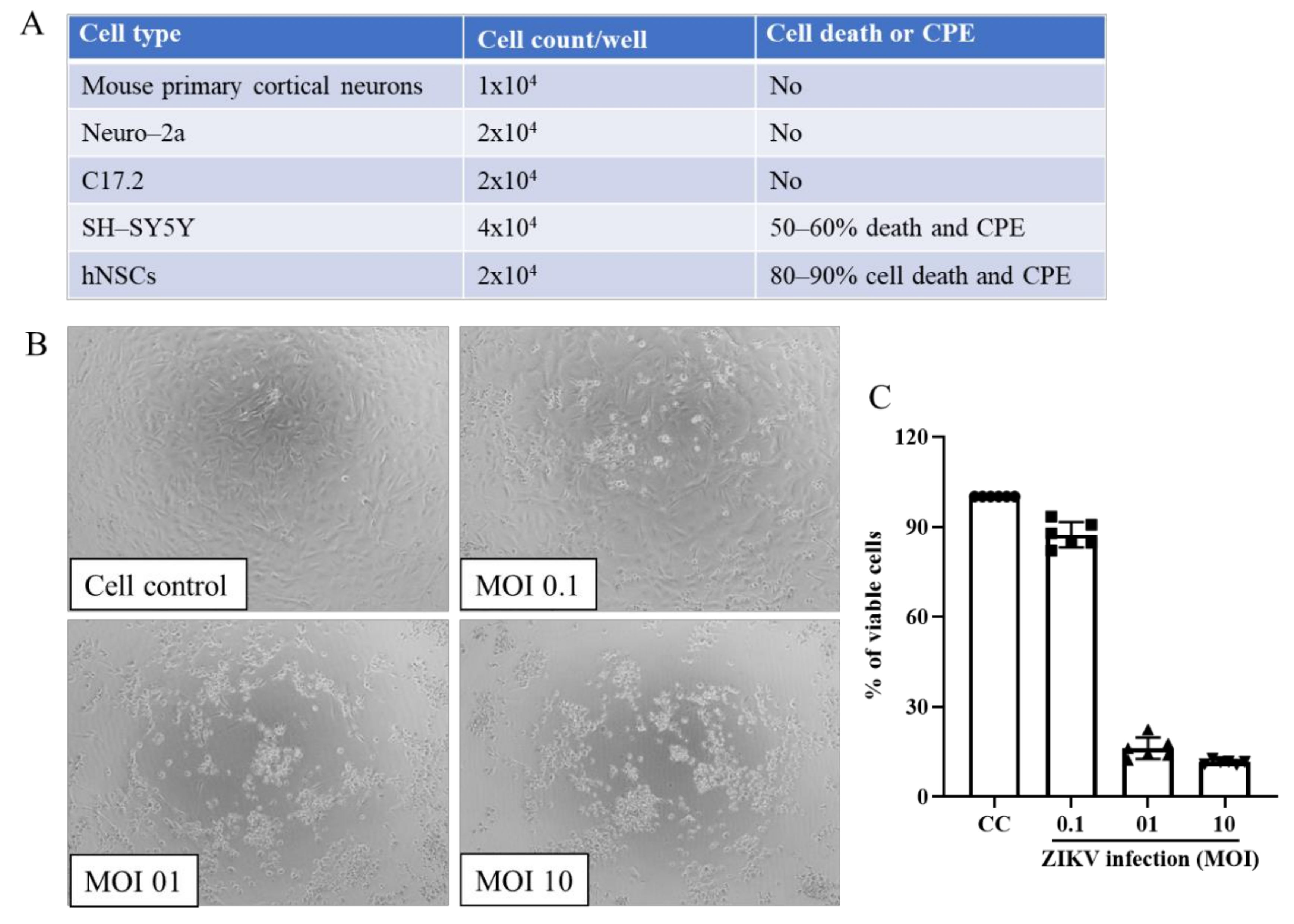 Viruses 13 02317 g001 Viruses 13 02317 g001