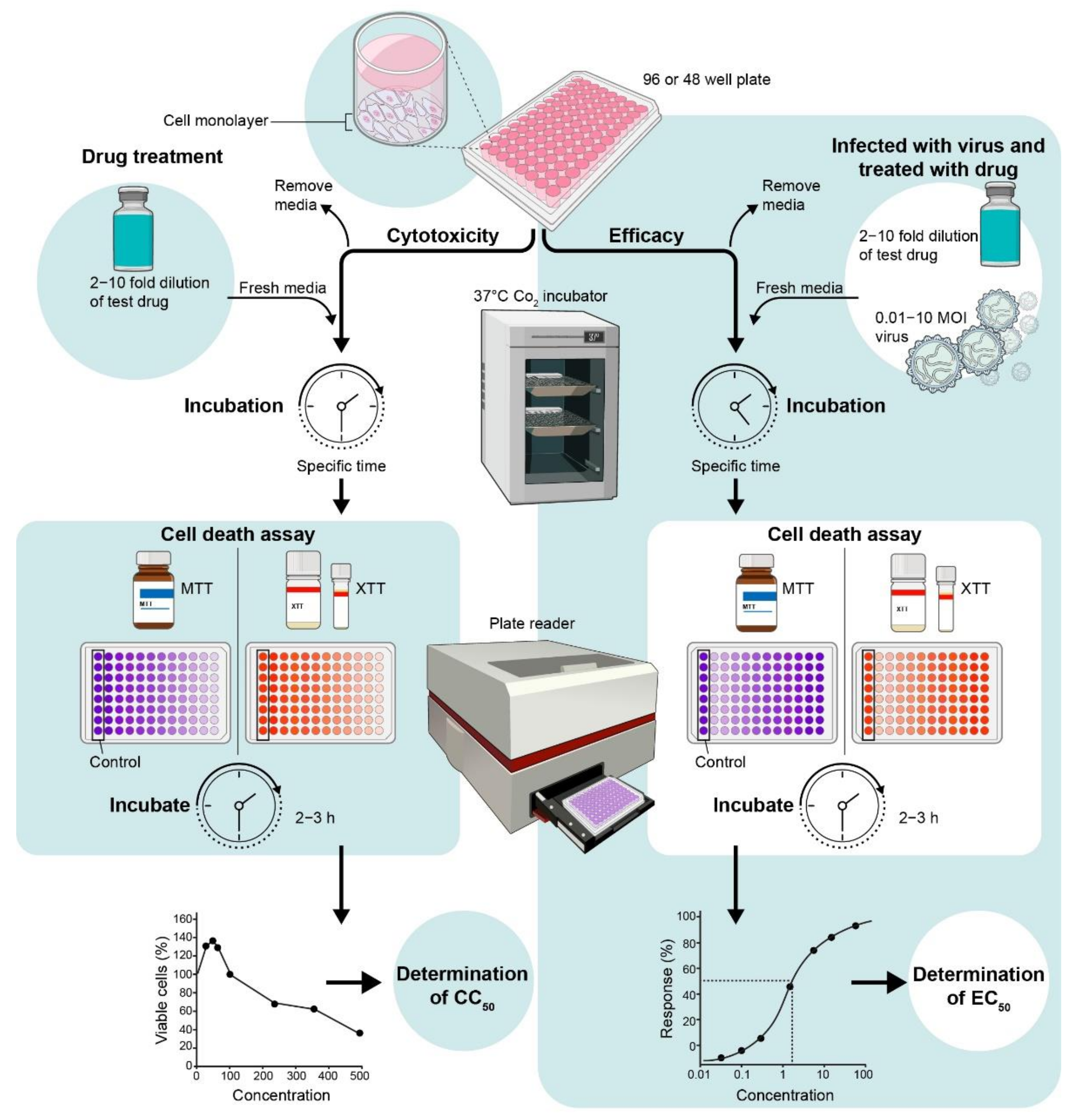 Viruses 13 02317 g002 Viruses 13 02317 g002