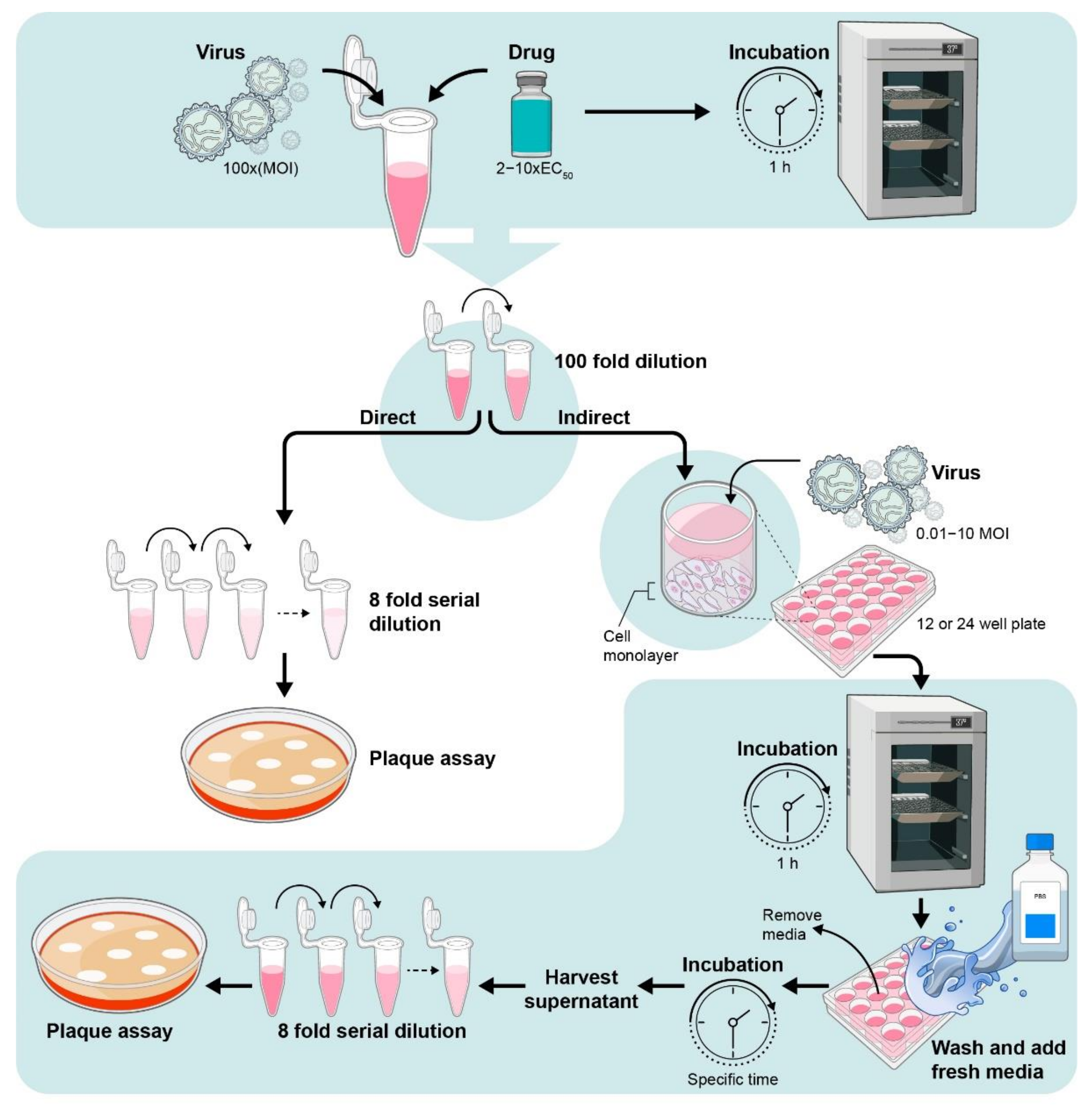 Viruses 13 02317 g006 Viruses 13 02317 g006