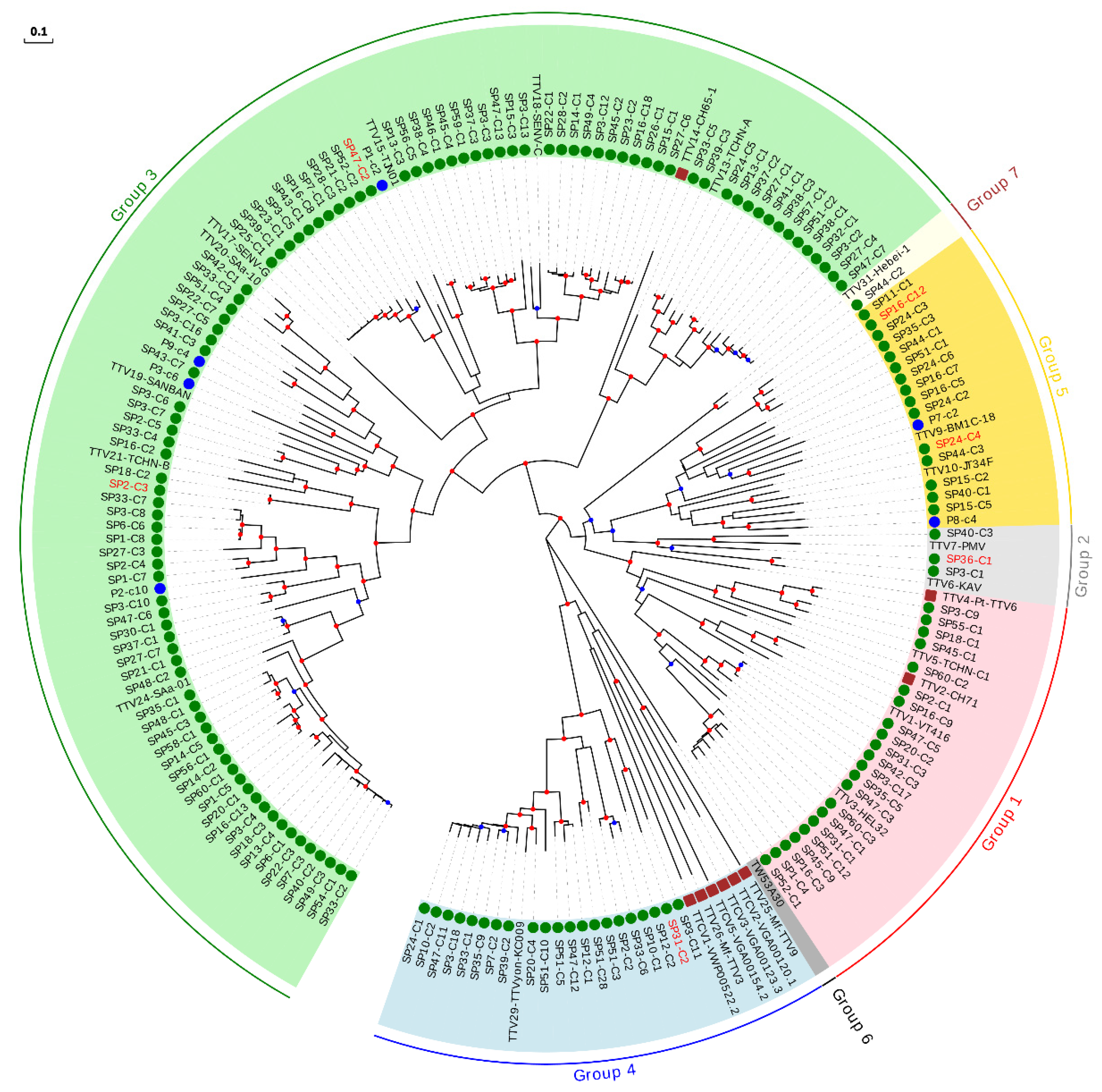 Viruses 13 02322 g002
