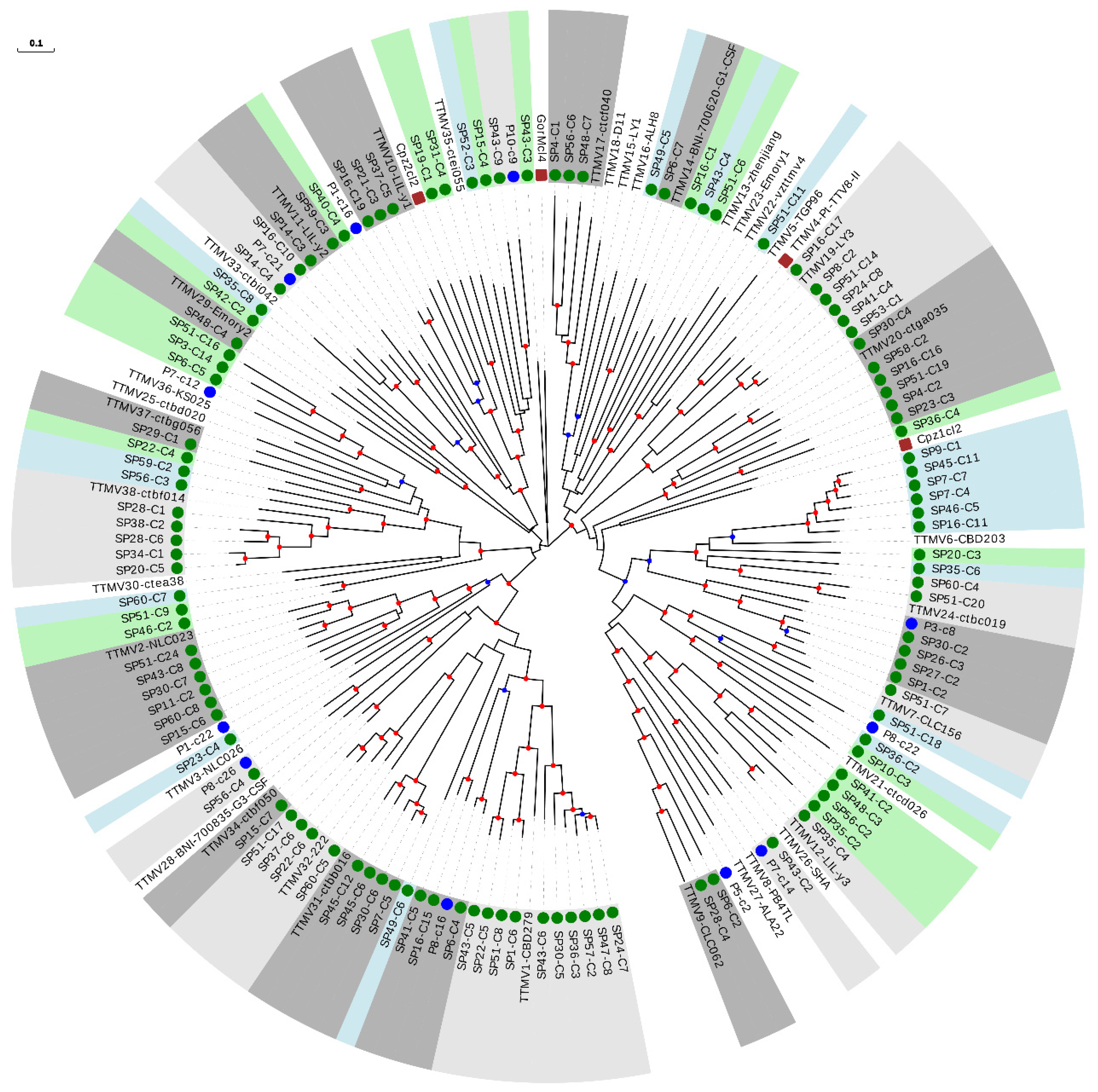Viruses 13 02322 g003