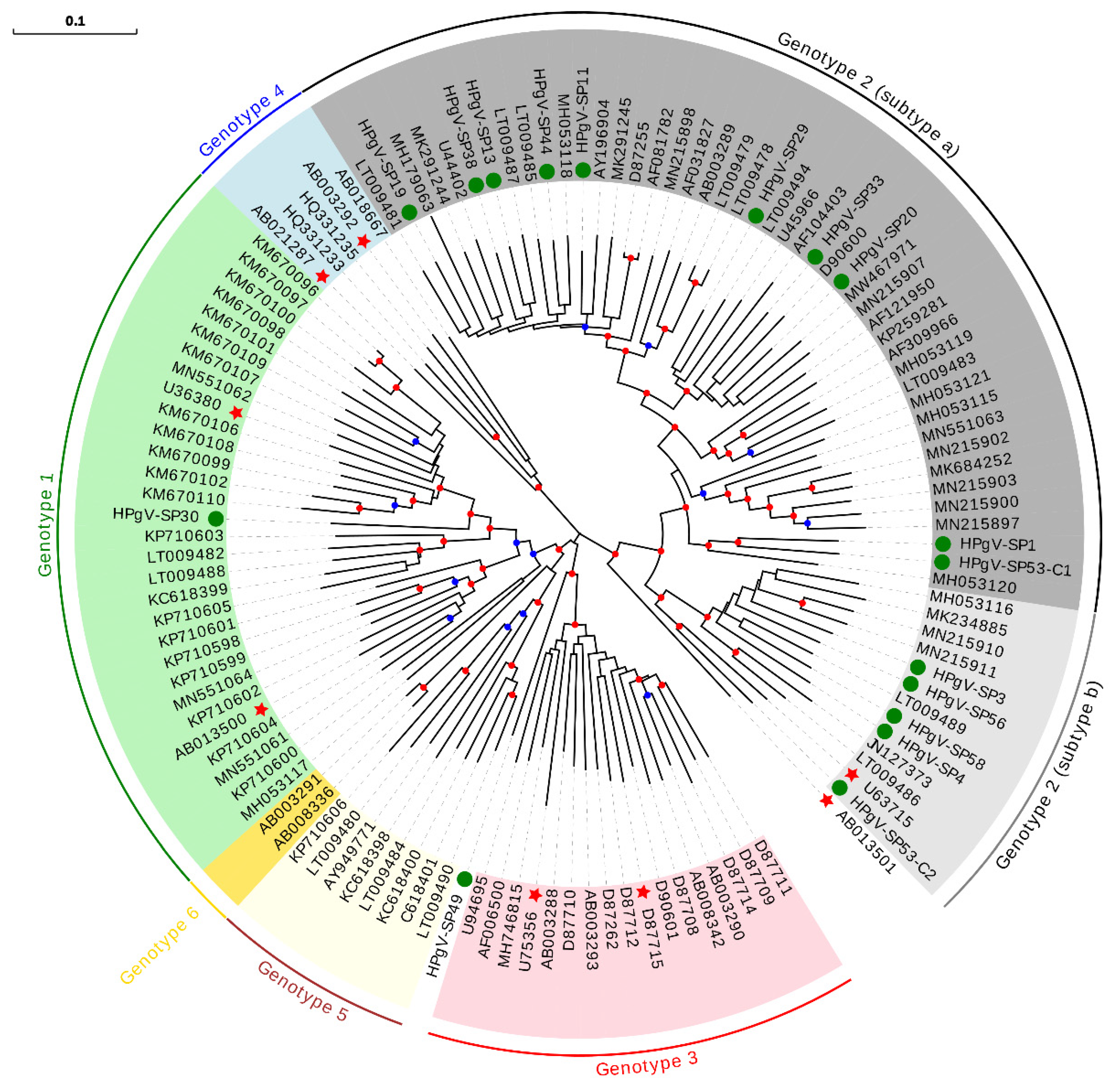 Viruses 13 02322 g005