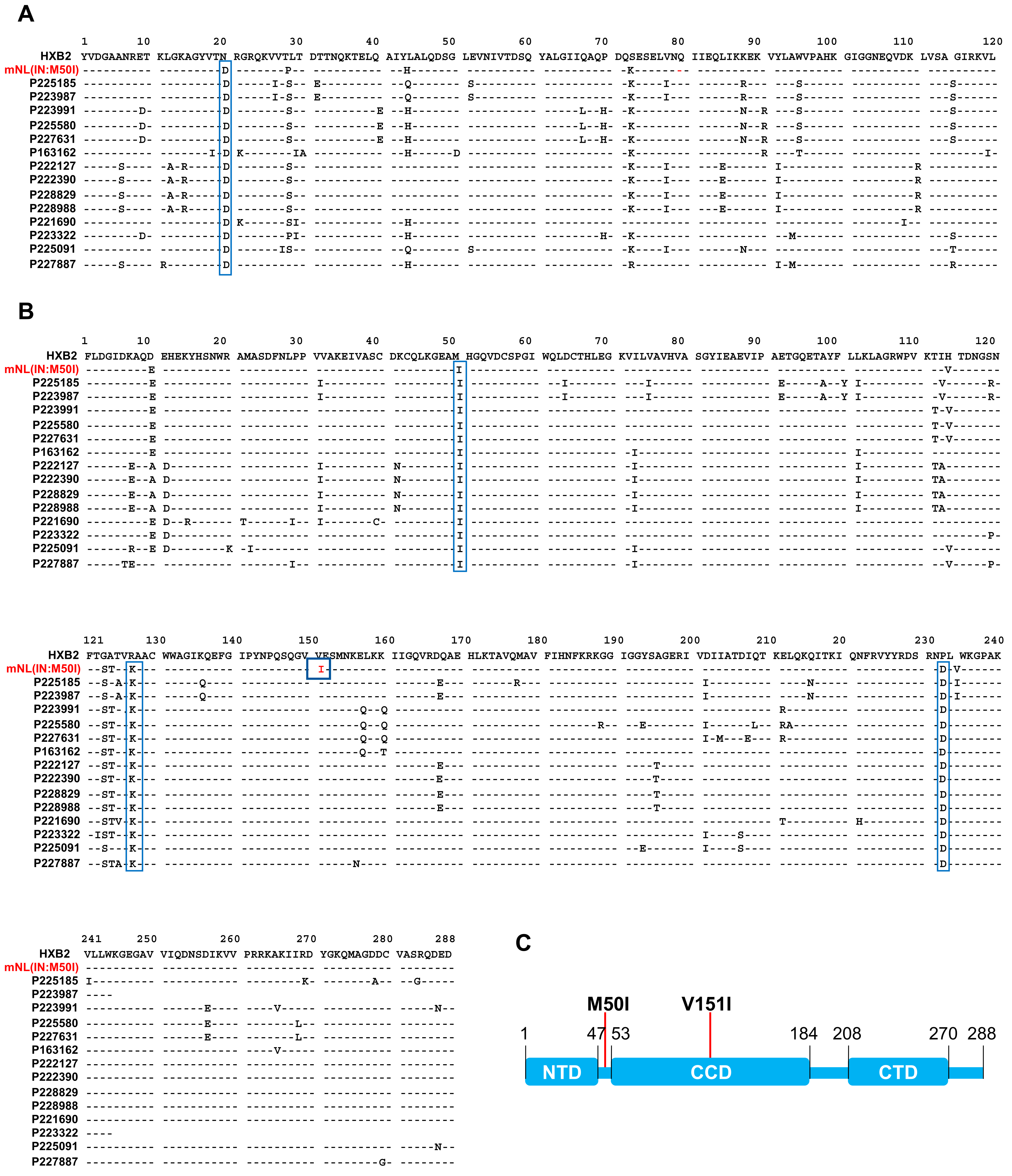 Viruses 13 02331 g002 Viruses 13 02331 g002