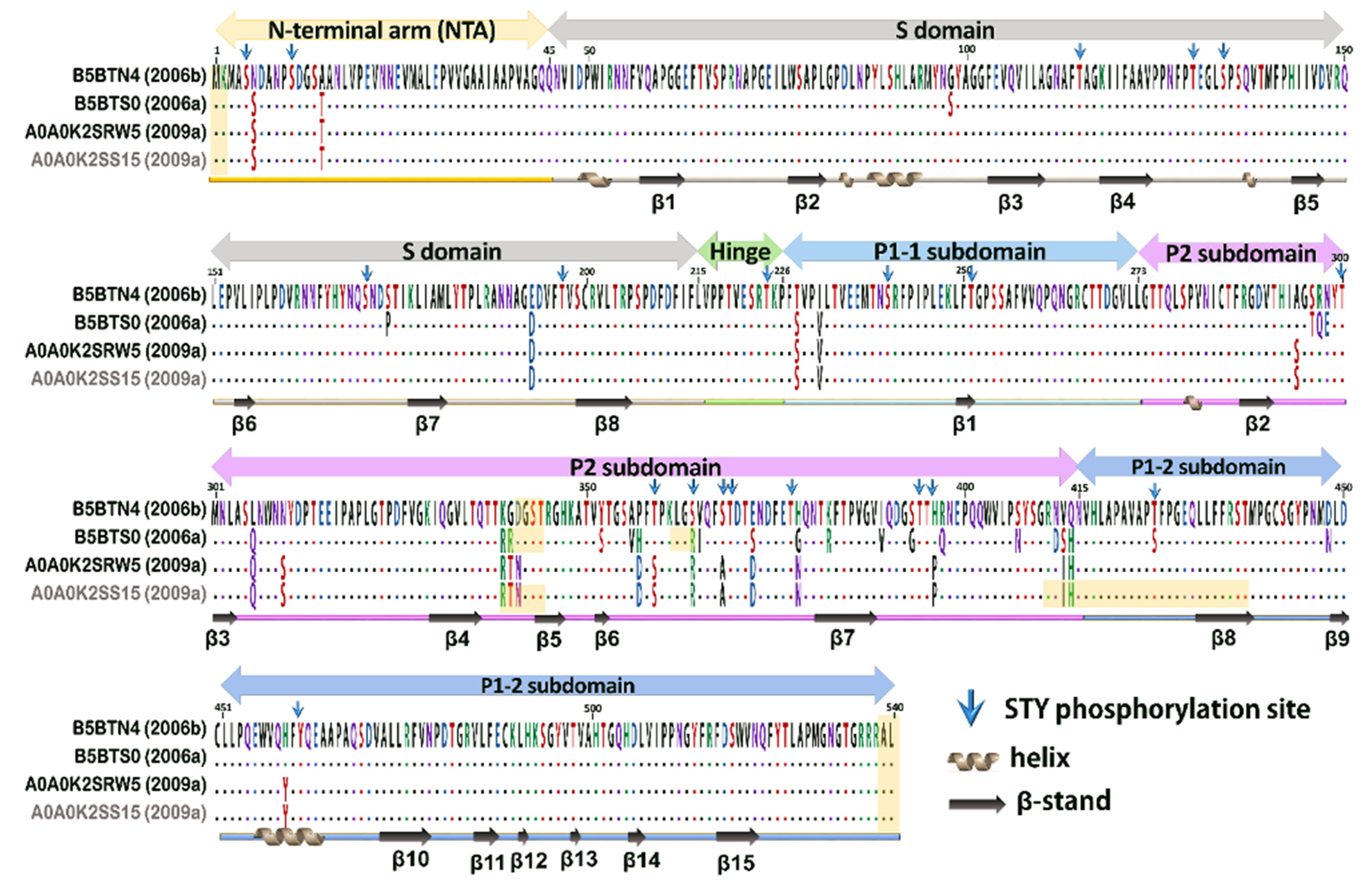 Viruses 13 02332 g002