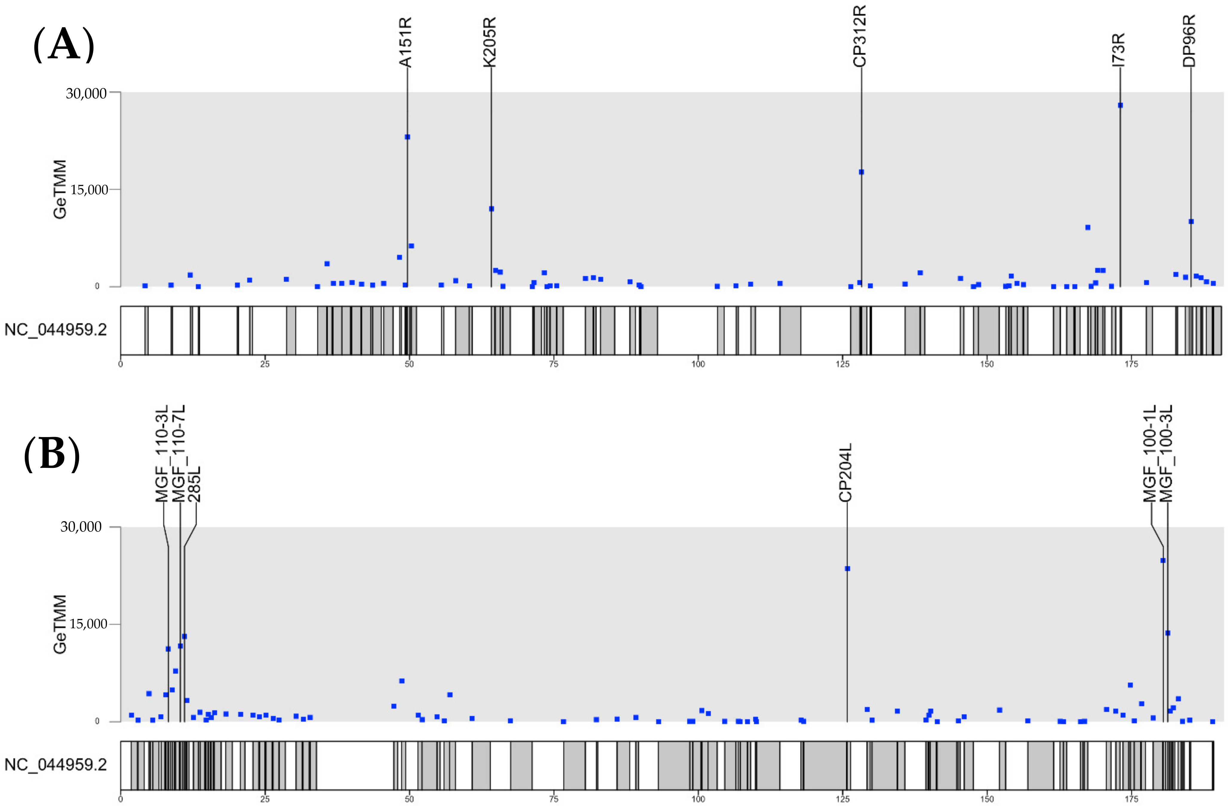 Viruses 13 02333 g002