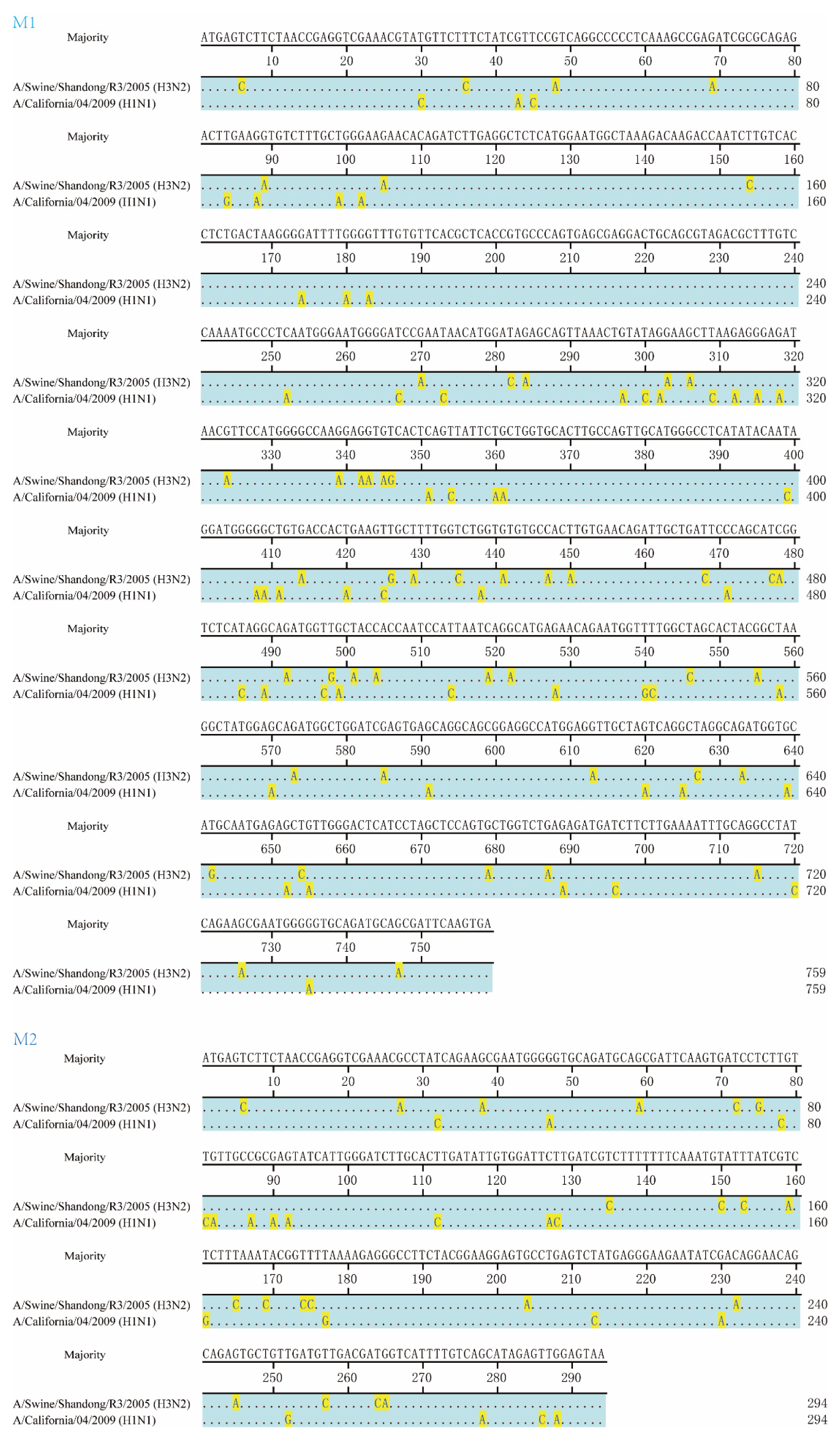 Viruses 13 02335 g001 Viruses 13 02335 g001