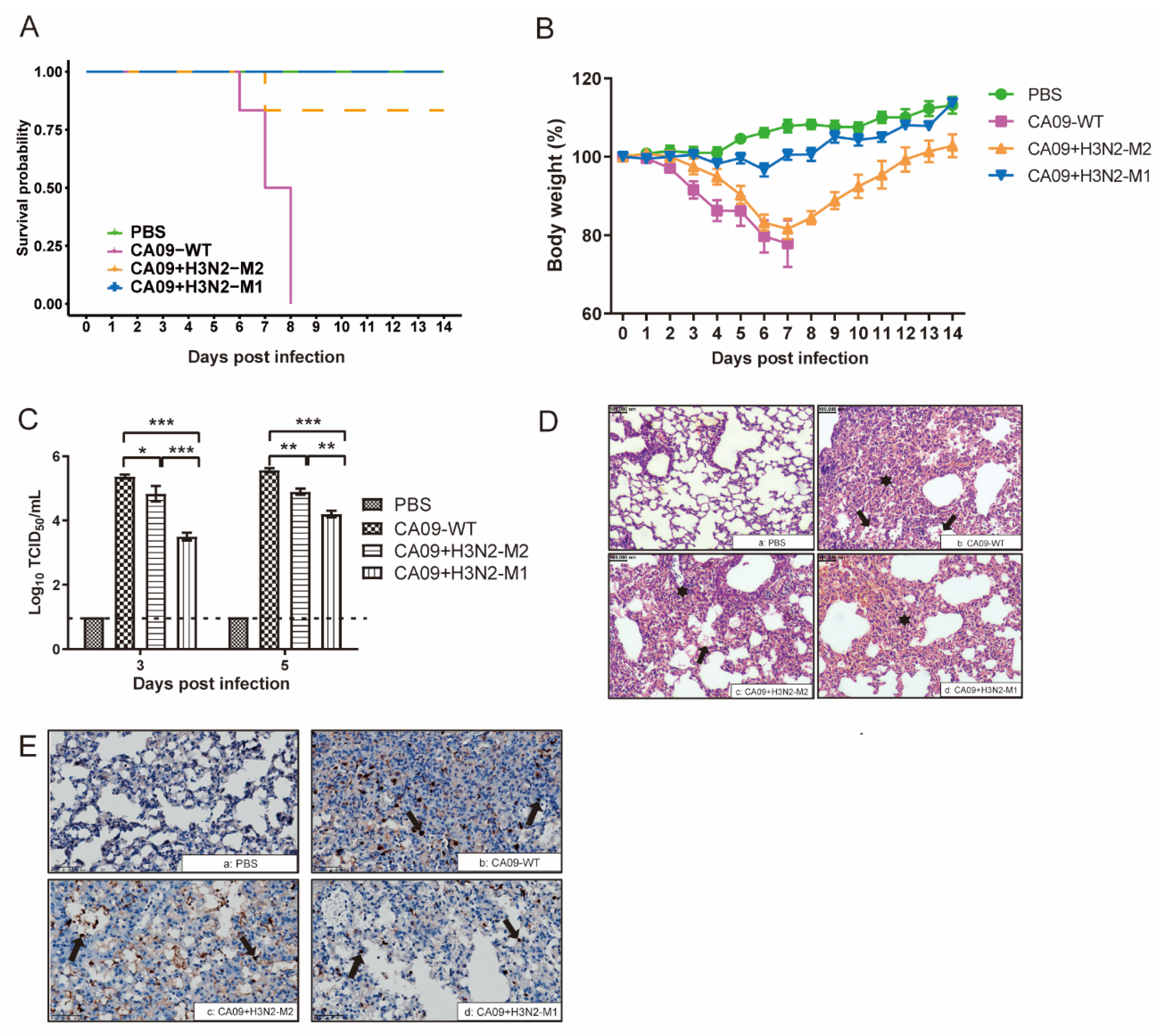Viruses 13 02335 g003 Viruses 13 02335 g003