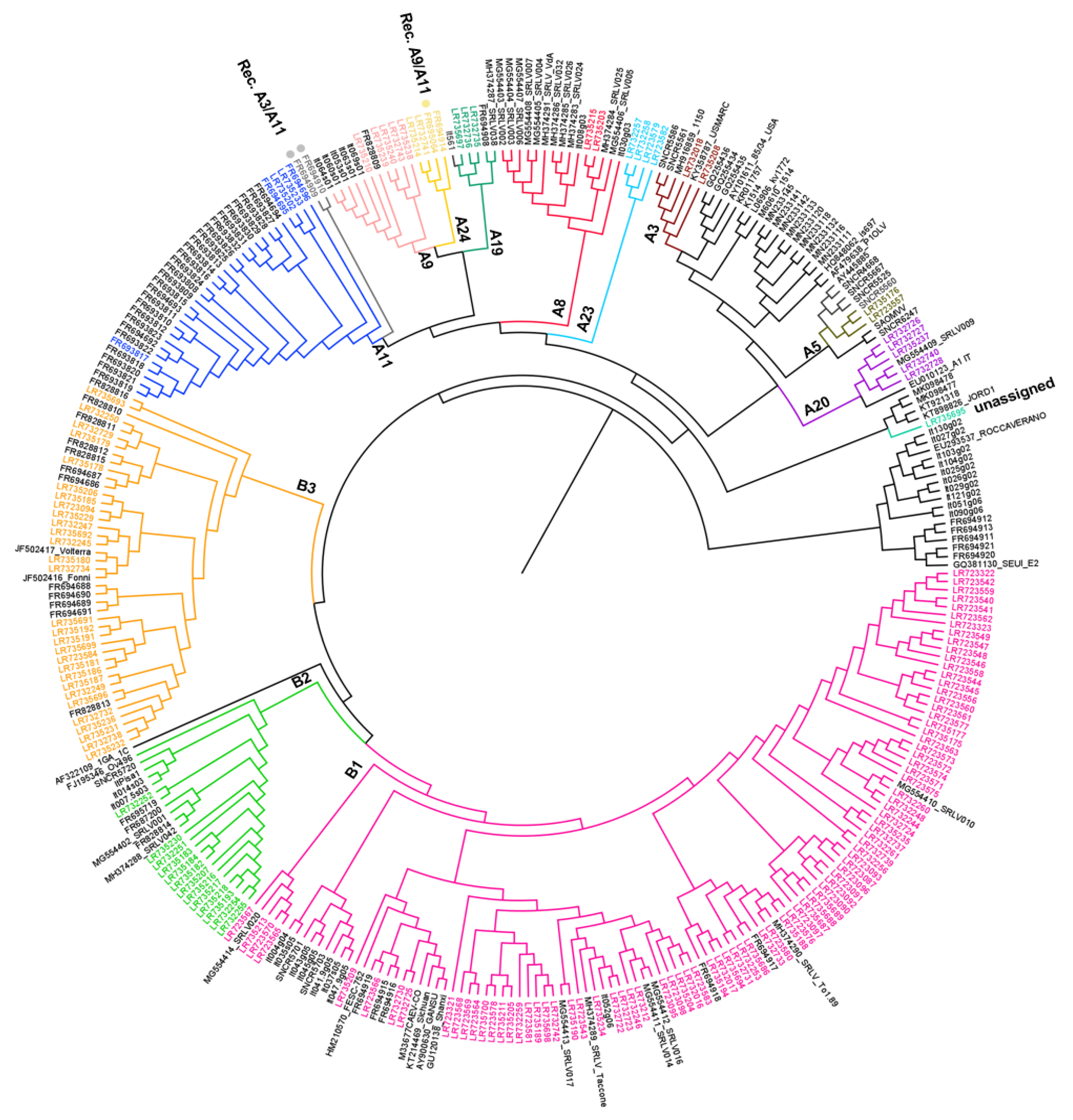 Viruses 13 02338 g002
