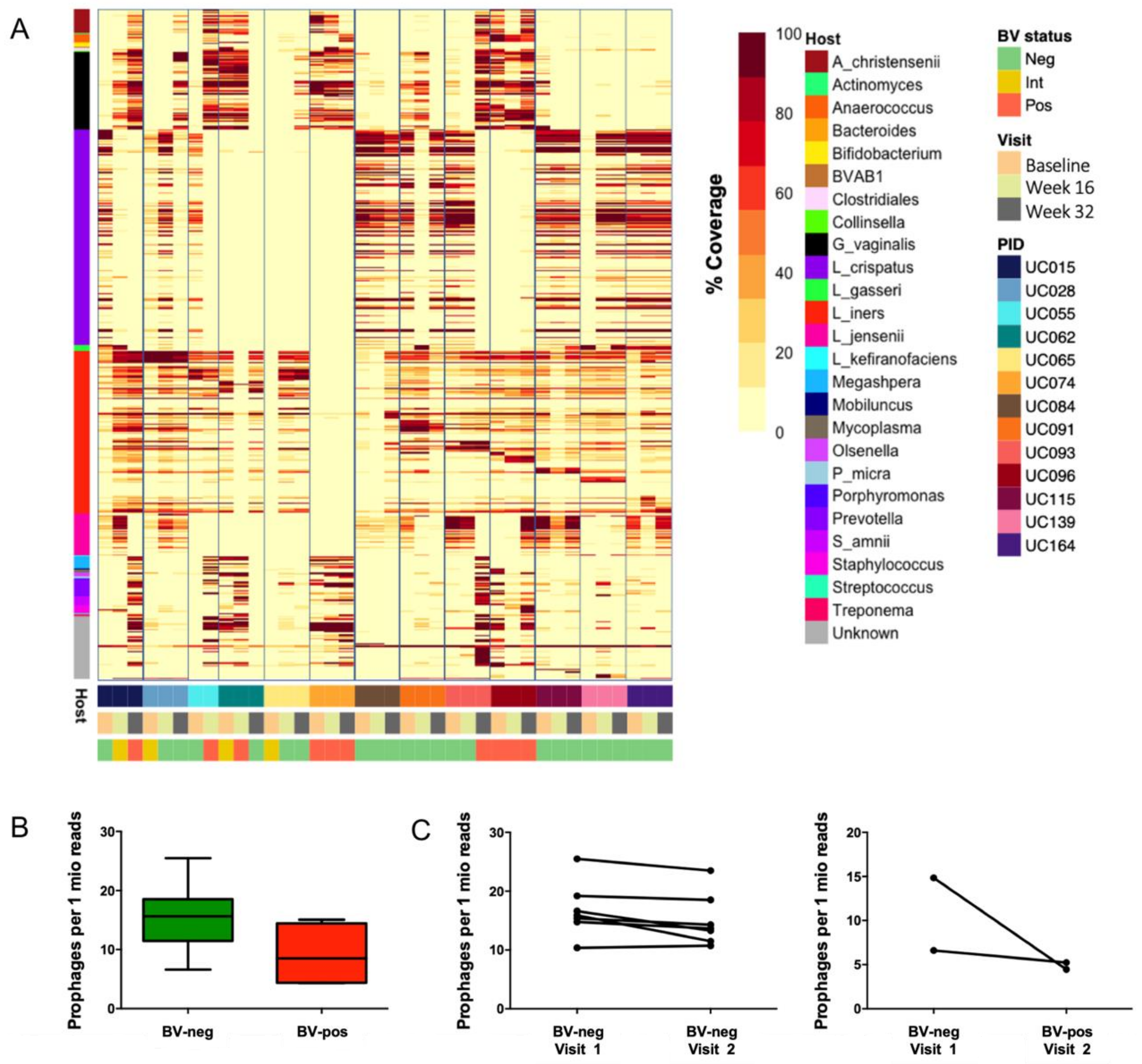 Viruses 13 02341 g005 Viruses 13 02341 g005