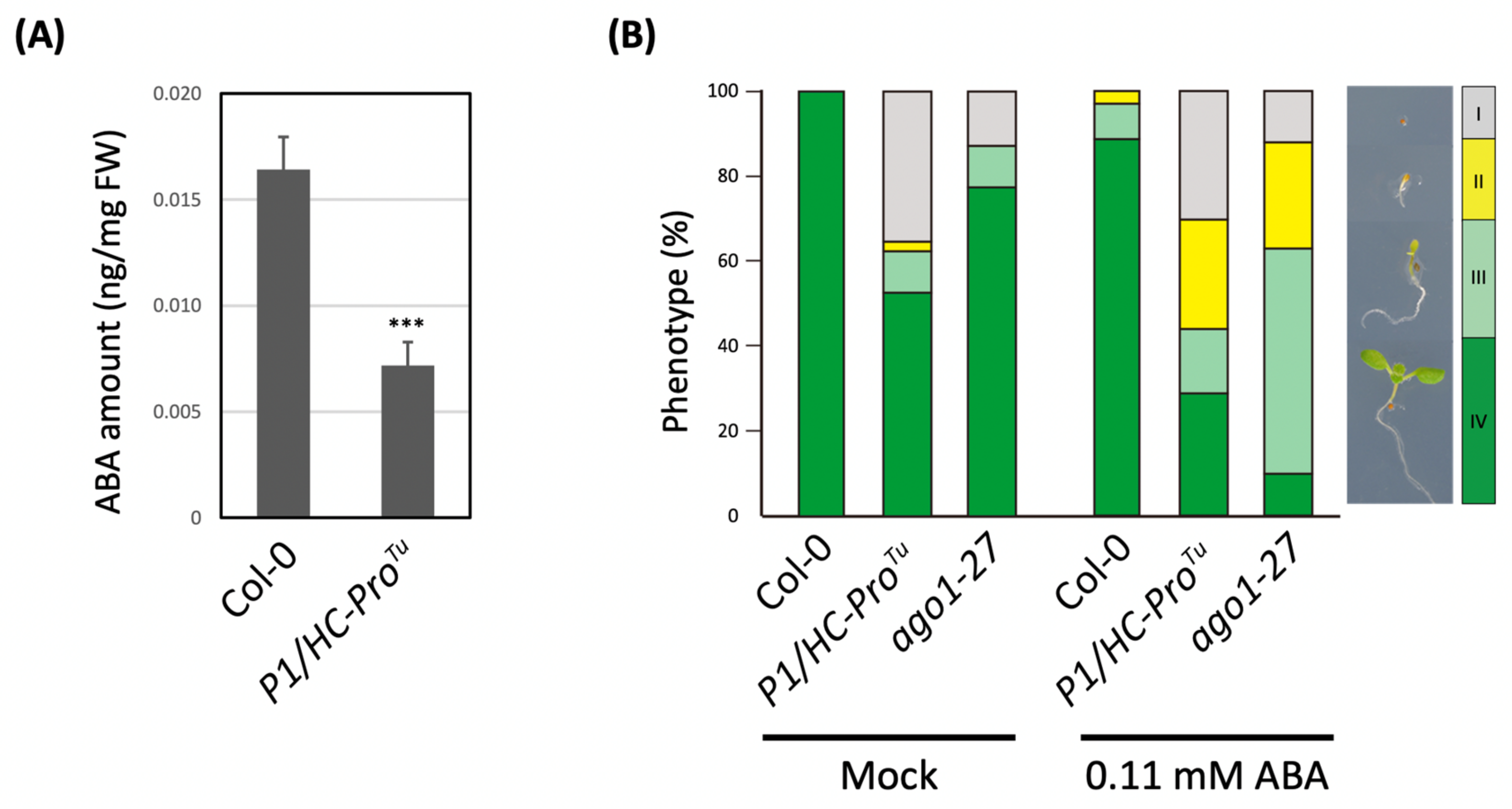 Viruses 13 02349 g003