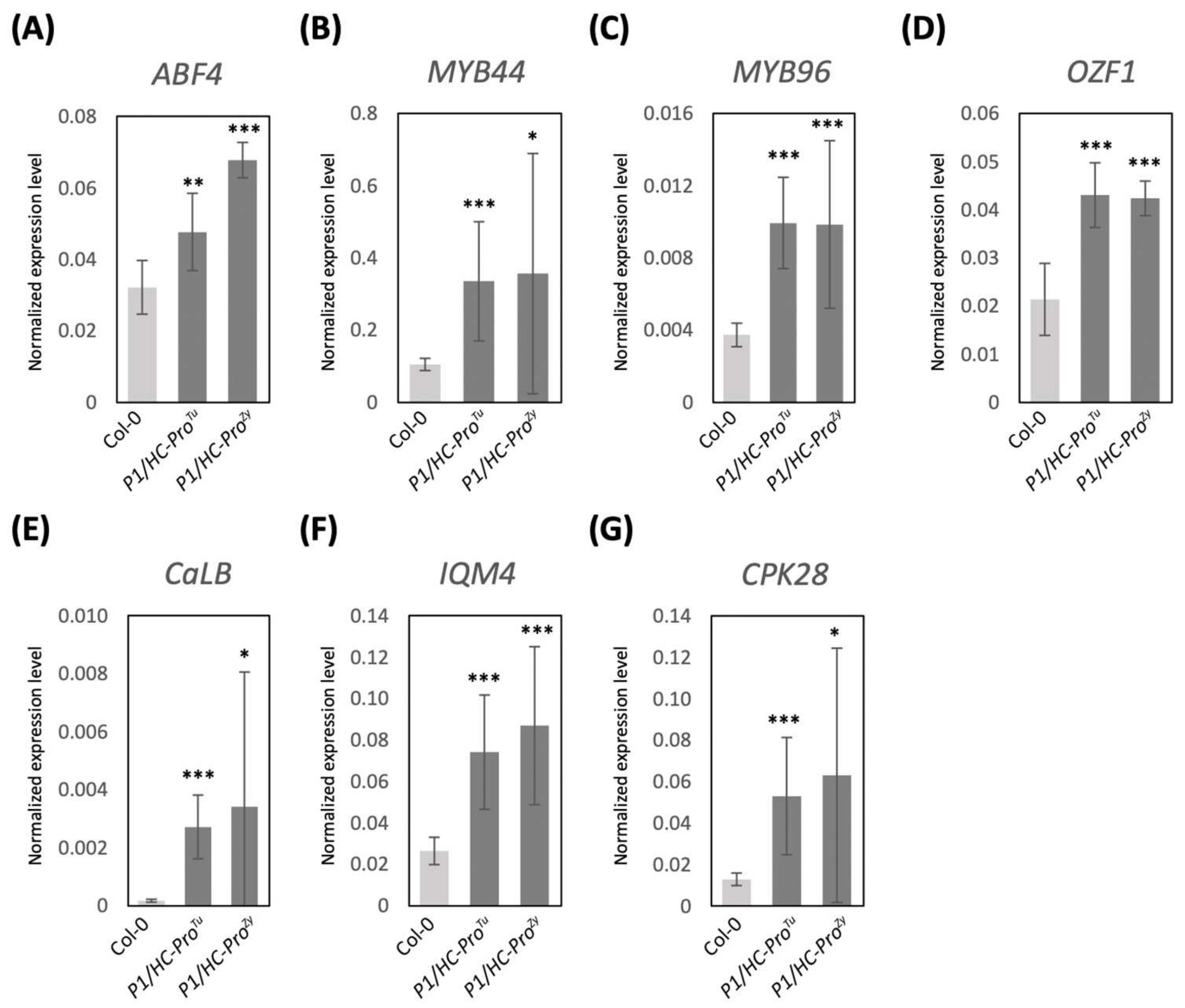 Viruses 13 02349 g006