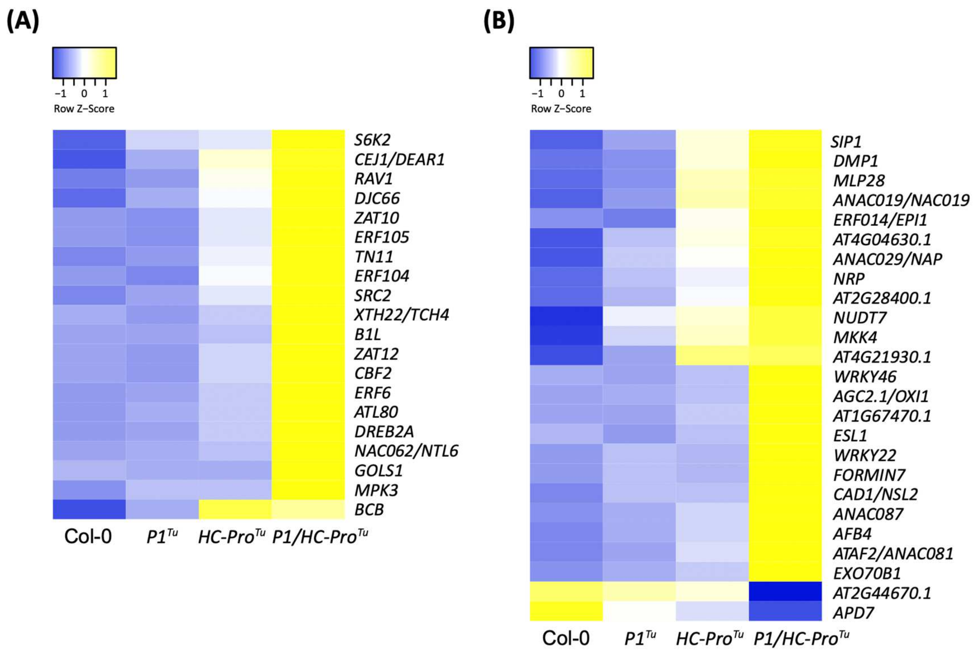 Viruses 13 02349 g008