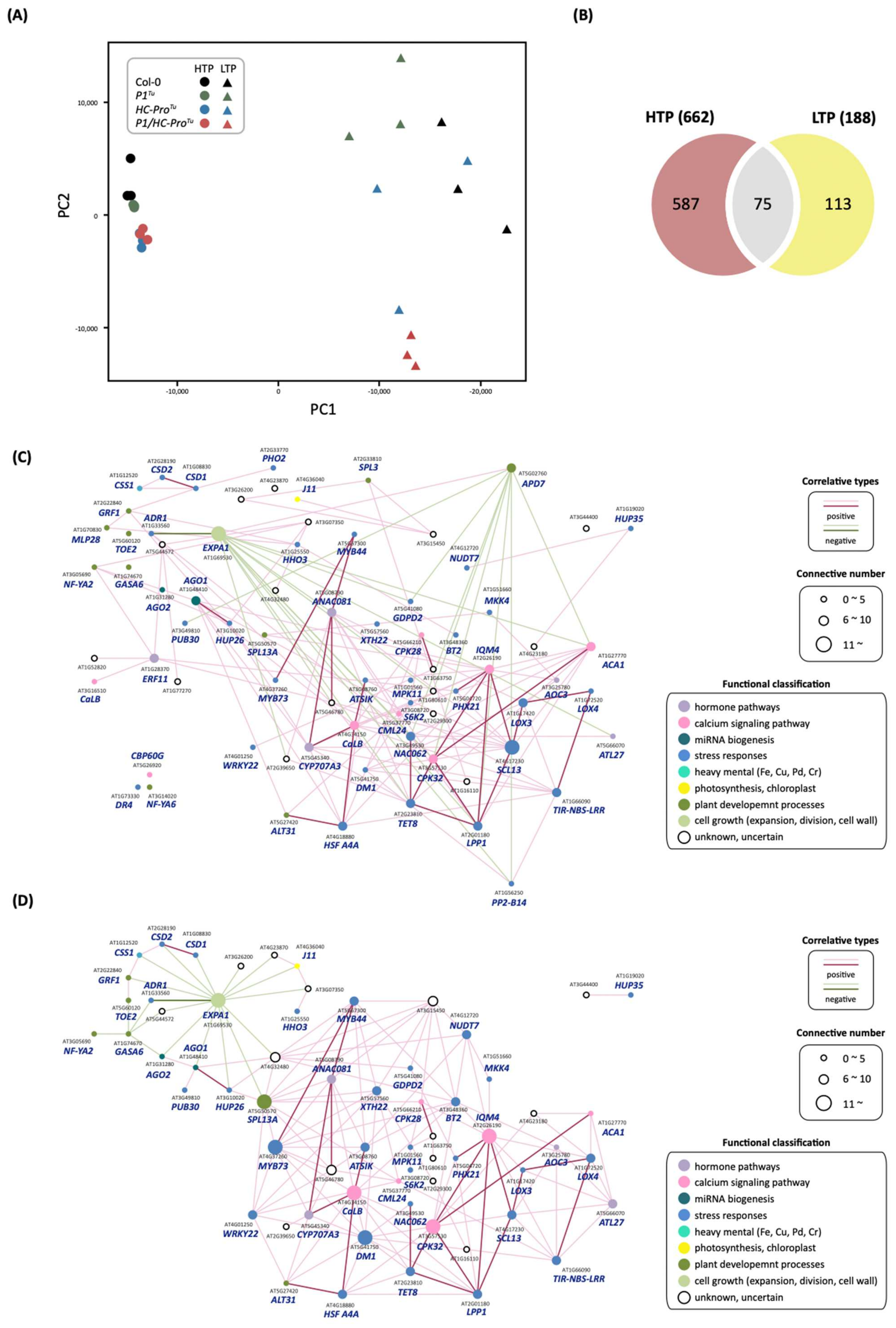 Viruses 13 02349 g009