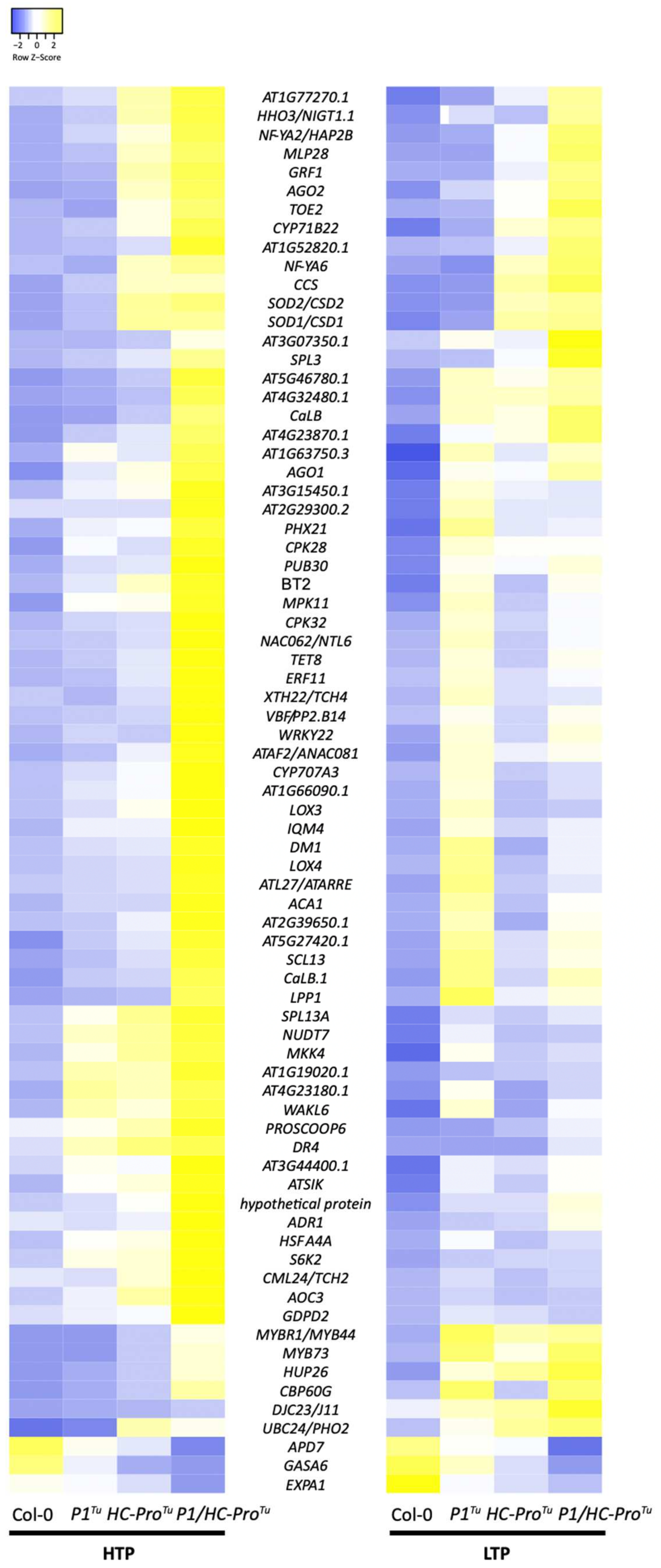 Viruses 13 02349 g010