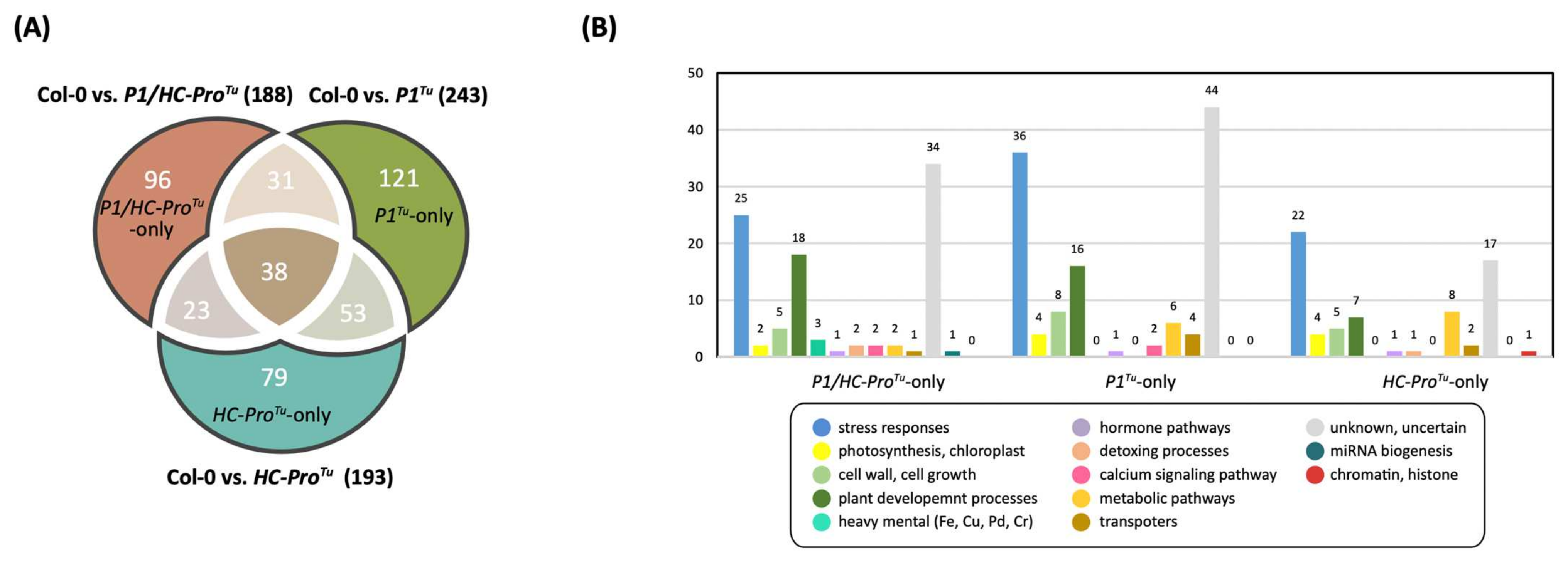 Viruses 13 02349 g011
