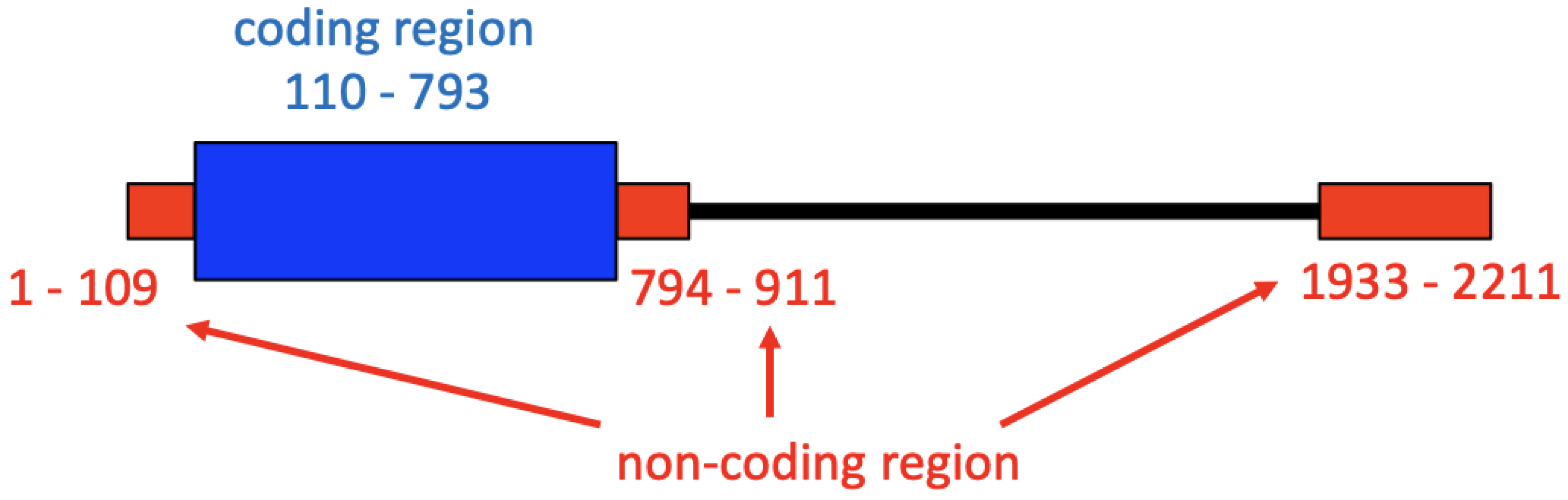 Viruses 13 02350 g001 Viruses 13 02350 g001