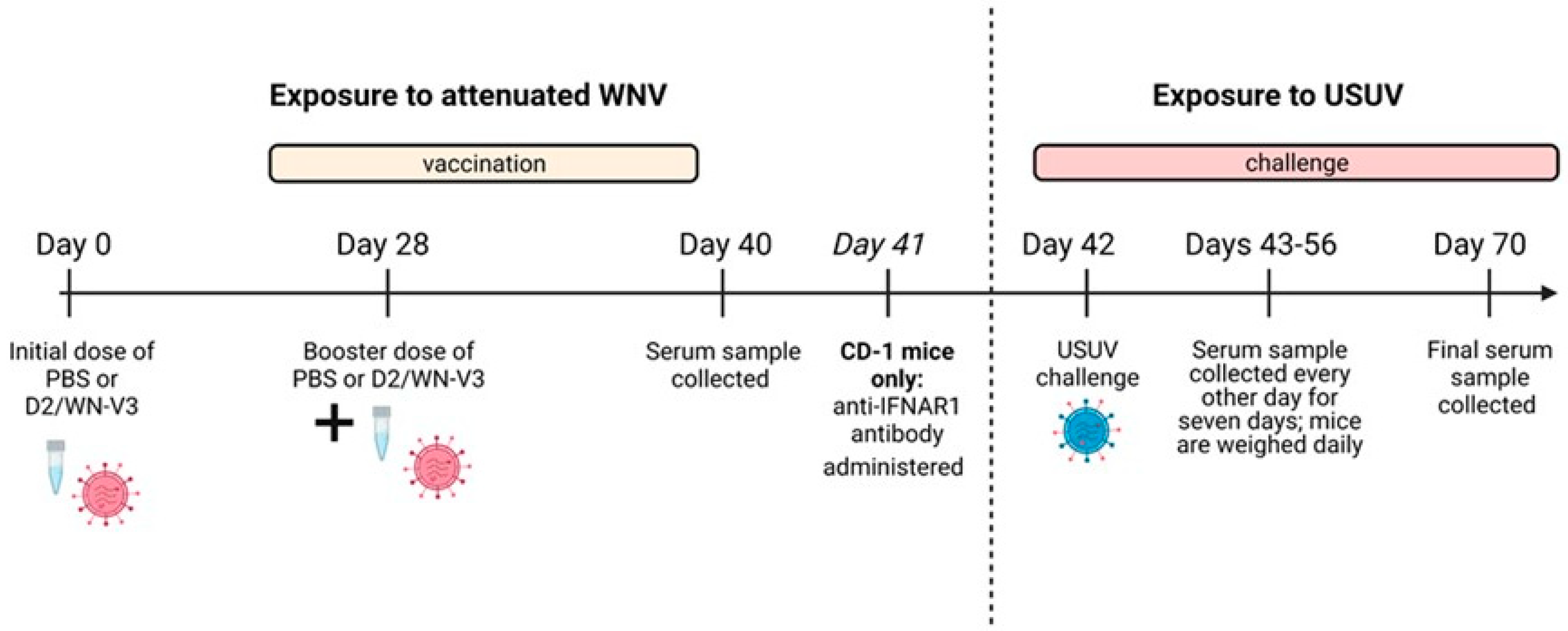 Viruses 13 02352 g001