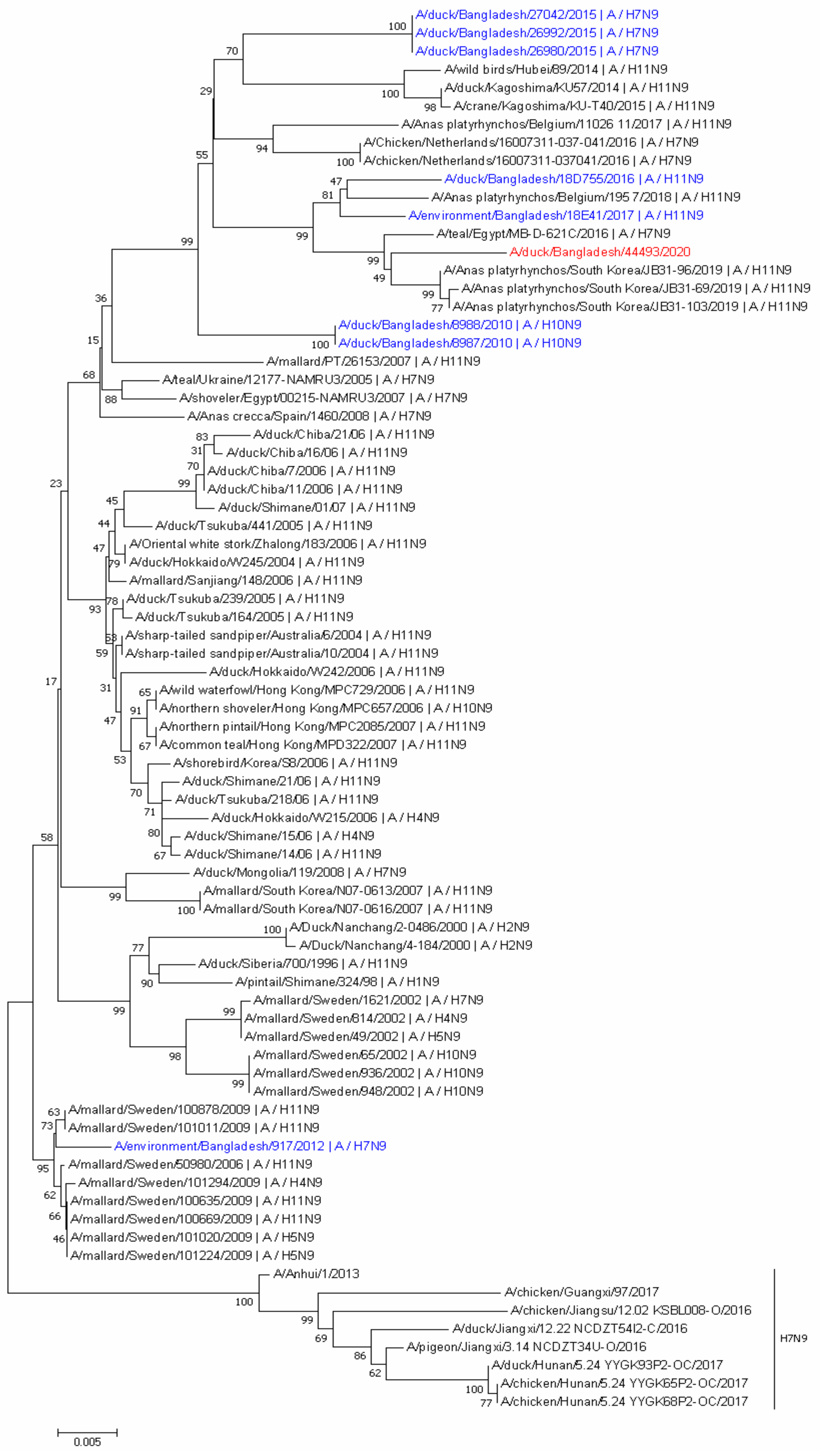 Viruses 13 02357 g002 Viruses 13 02357 g002