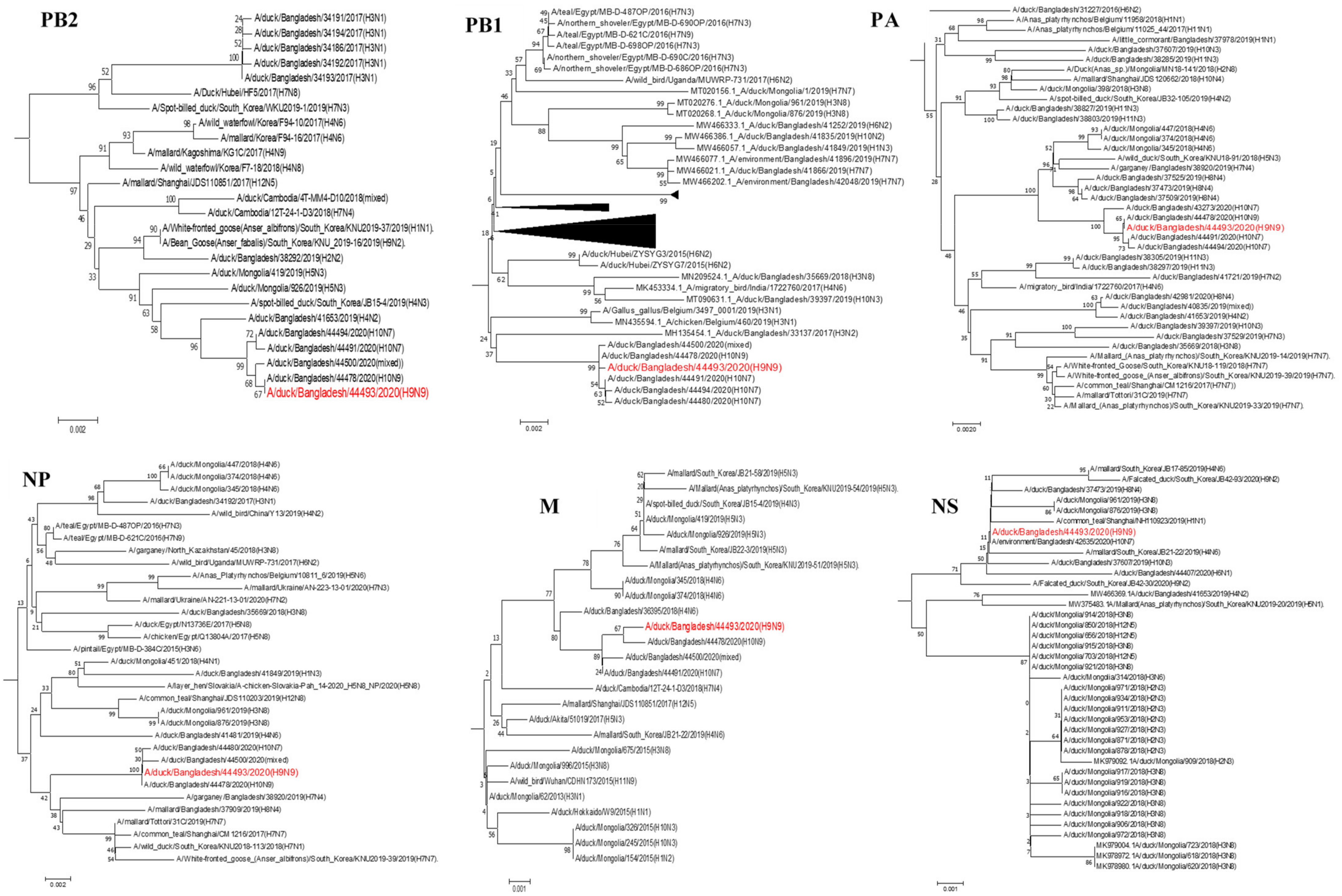 Viruses 13 02357 g003 Viruses 13 02357 g003