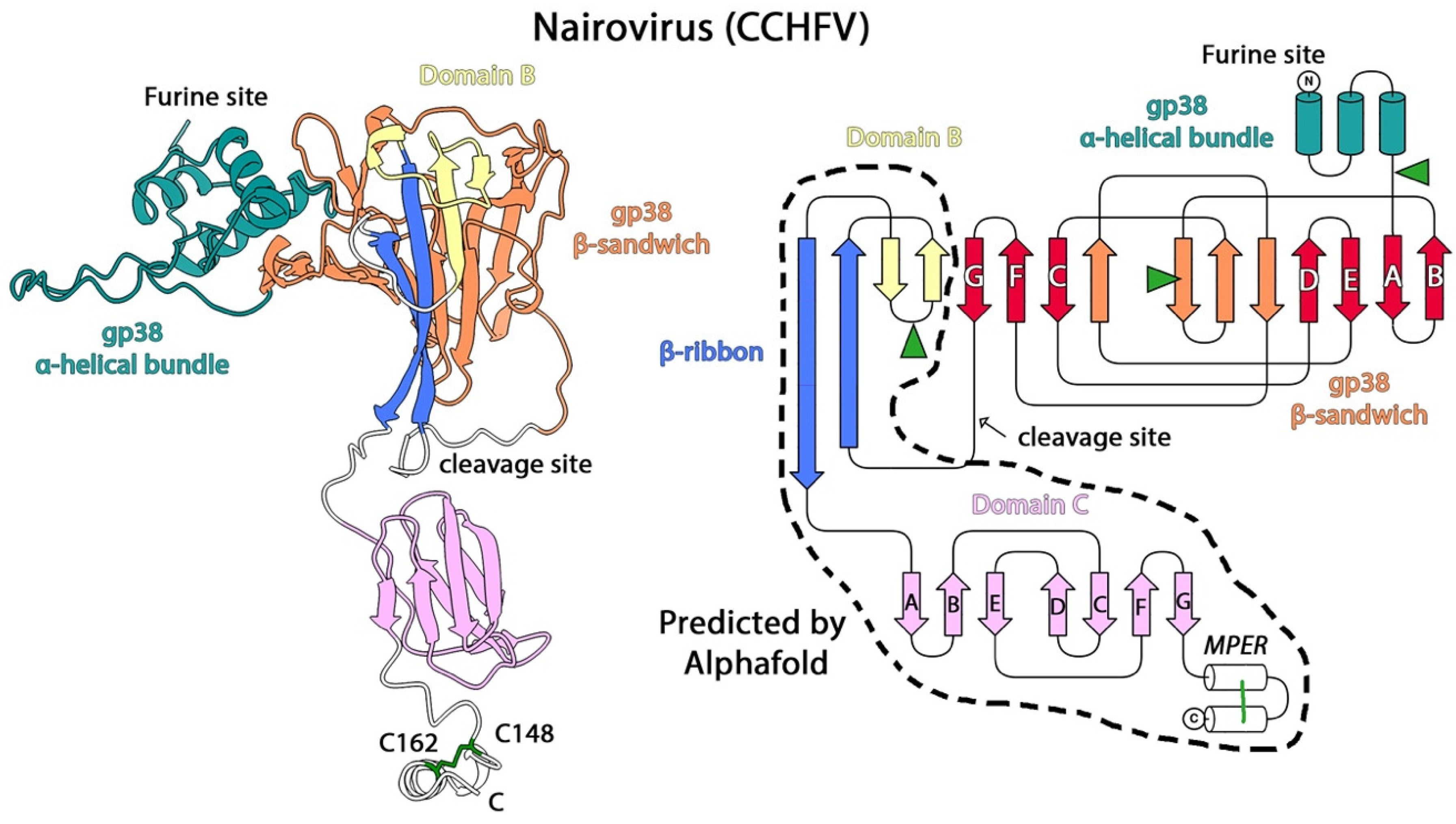 Viruses 13 02368 g004