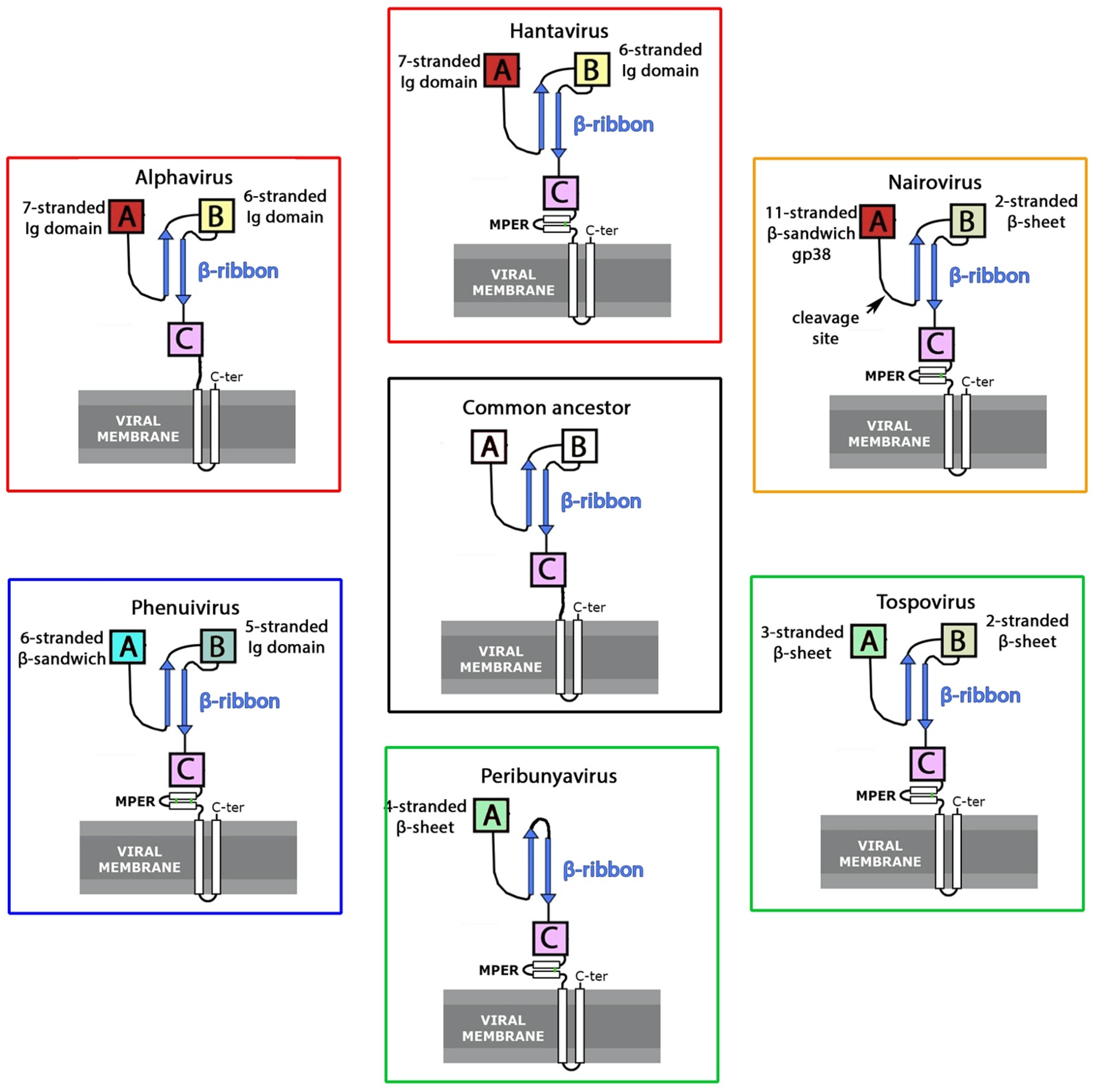 Viruses 13 02368 g005