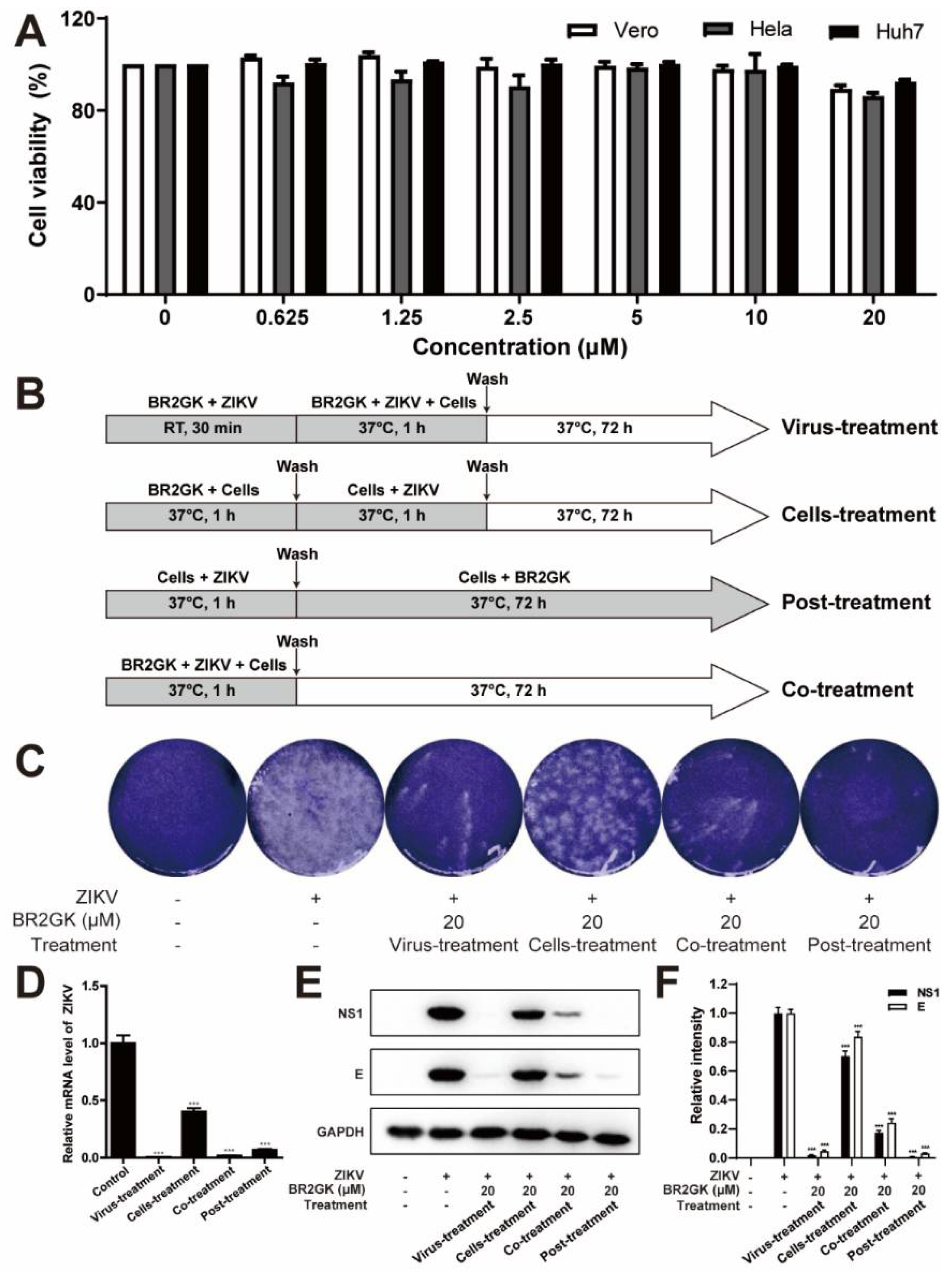 Viruses 13 02382 g001