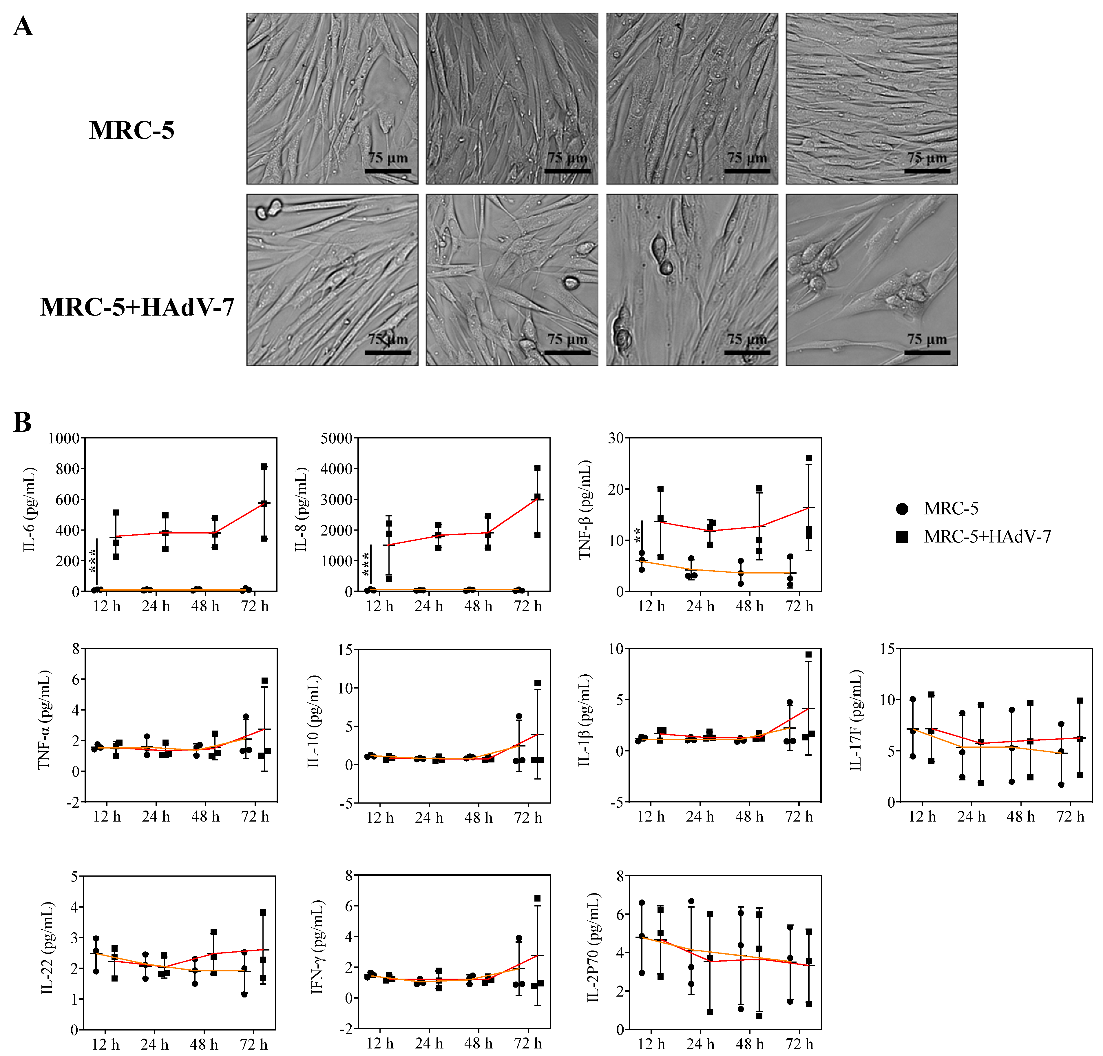 Viruses 13 02384 g005
