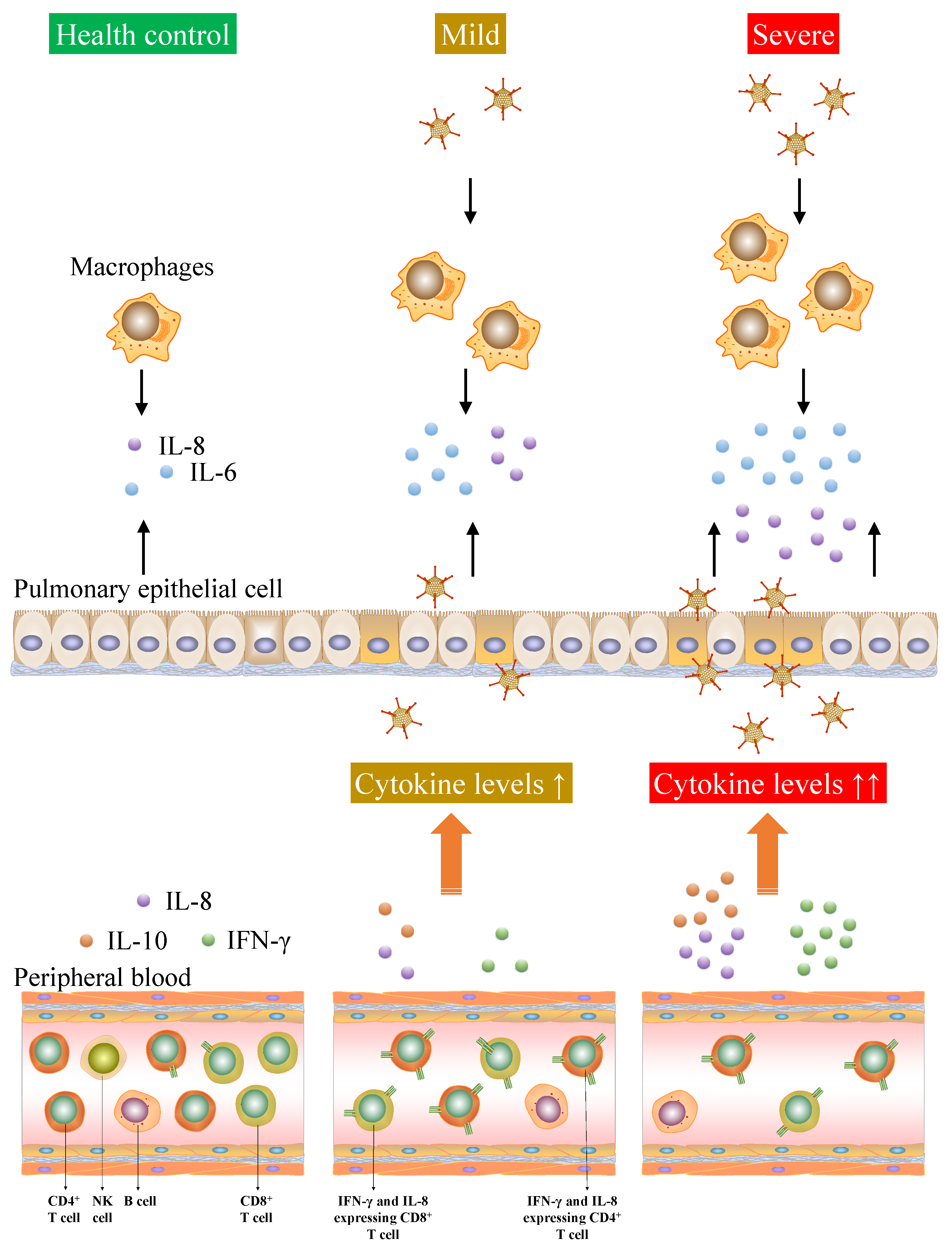 Viruses 13 02384 g009