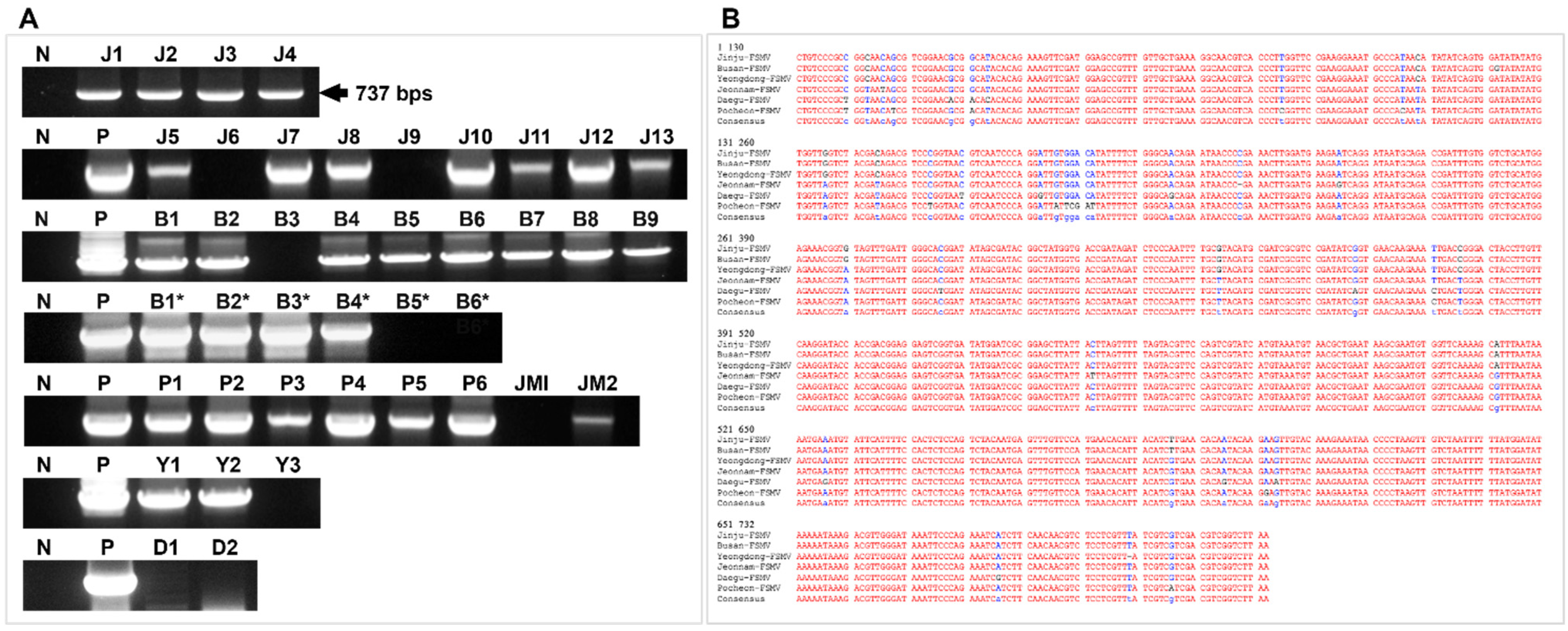 Viruses 13 02385 g002