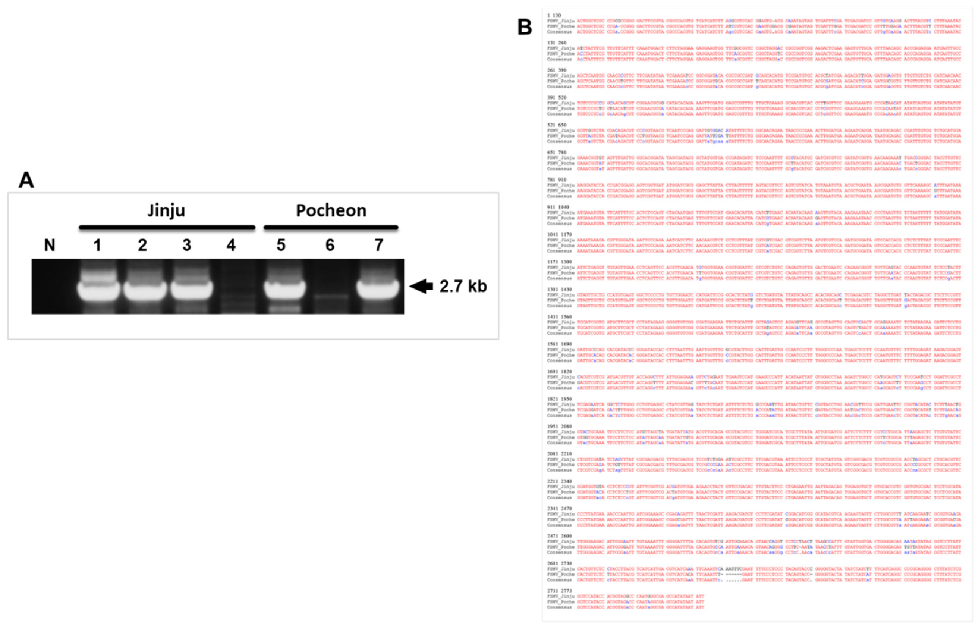 Viruses 13 02385 g003