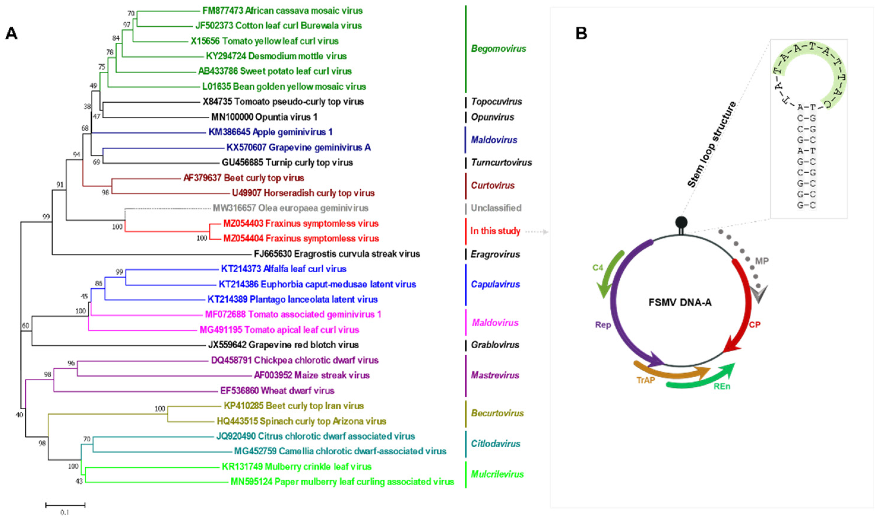 Viruses 13 02385 g004