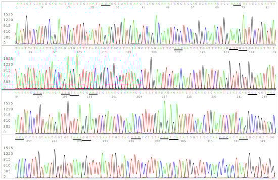 Viruses 13 02386 g005 550