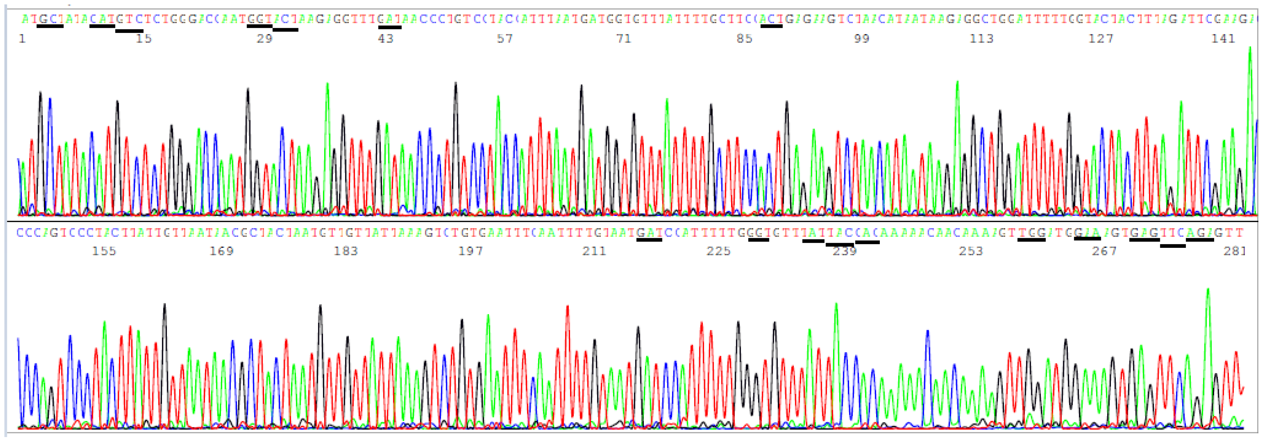 Viruses 13 02386 g006