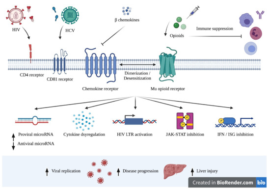 Viruses 13 02387 g001