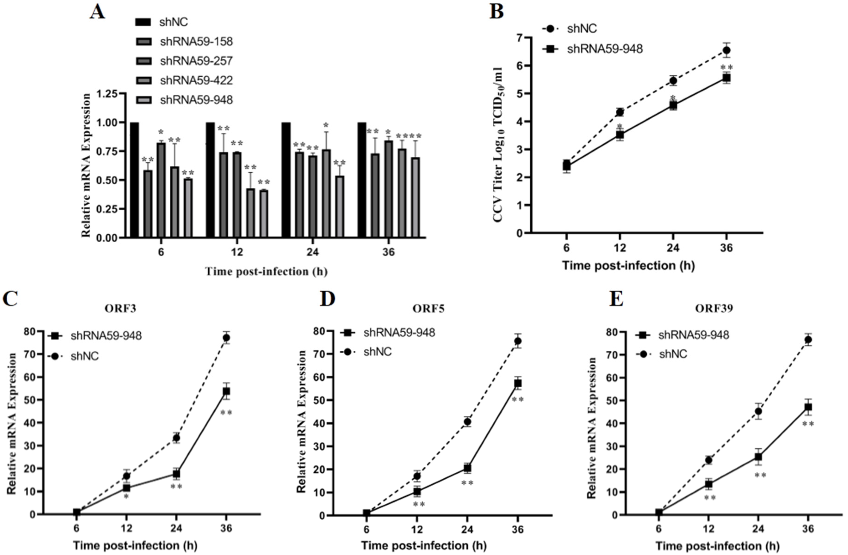 Viruses 13 02393 g005
