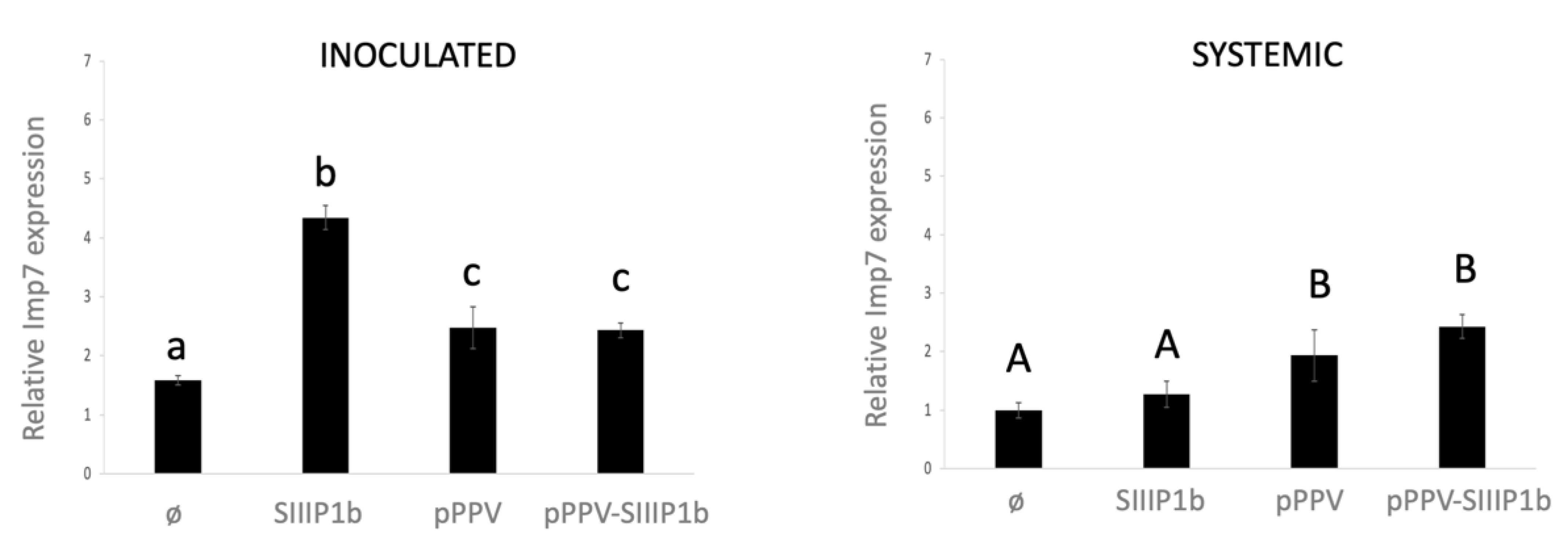 Viruses 13 02406 g003