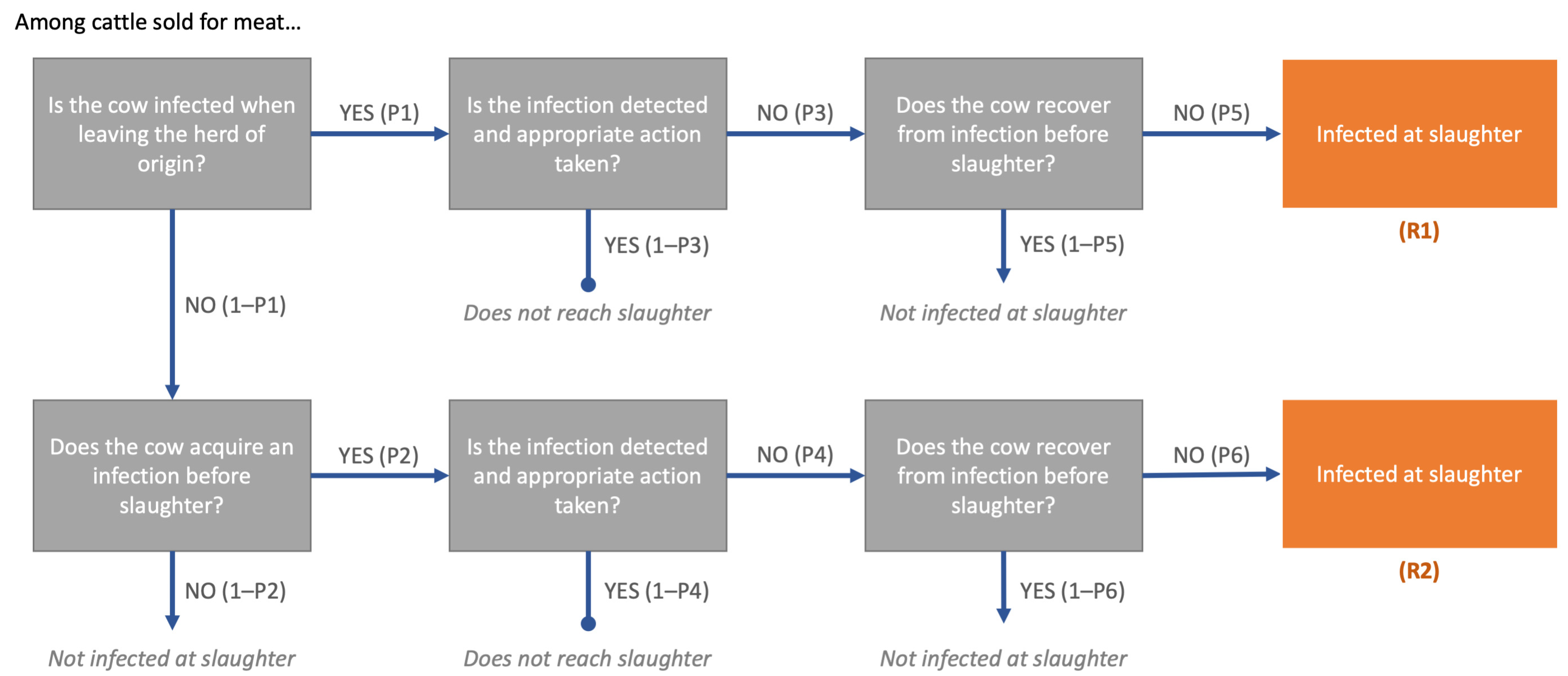 Viruses 13 02407 g001