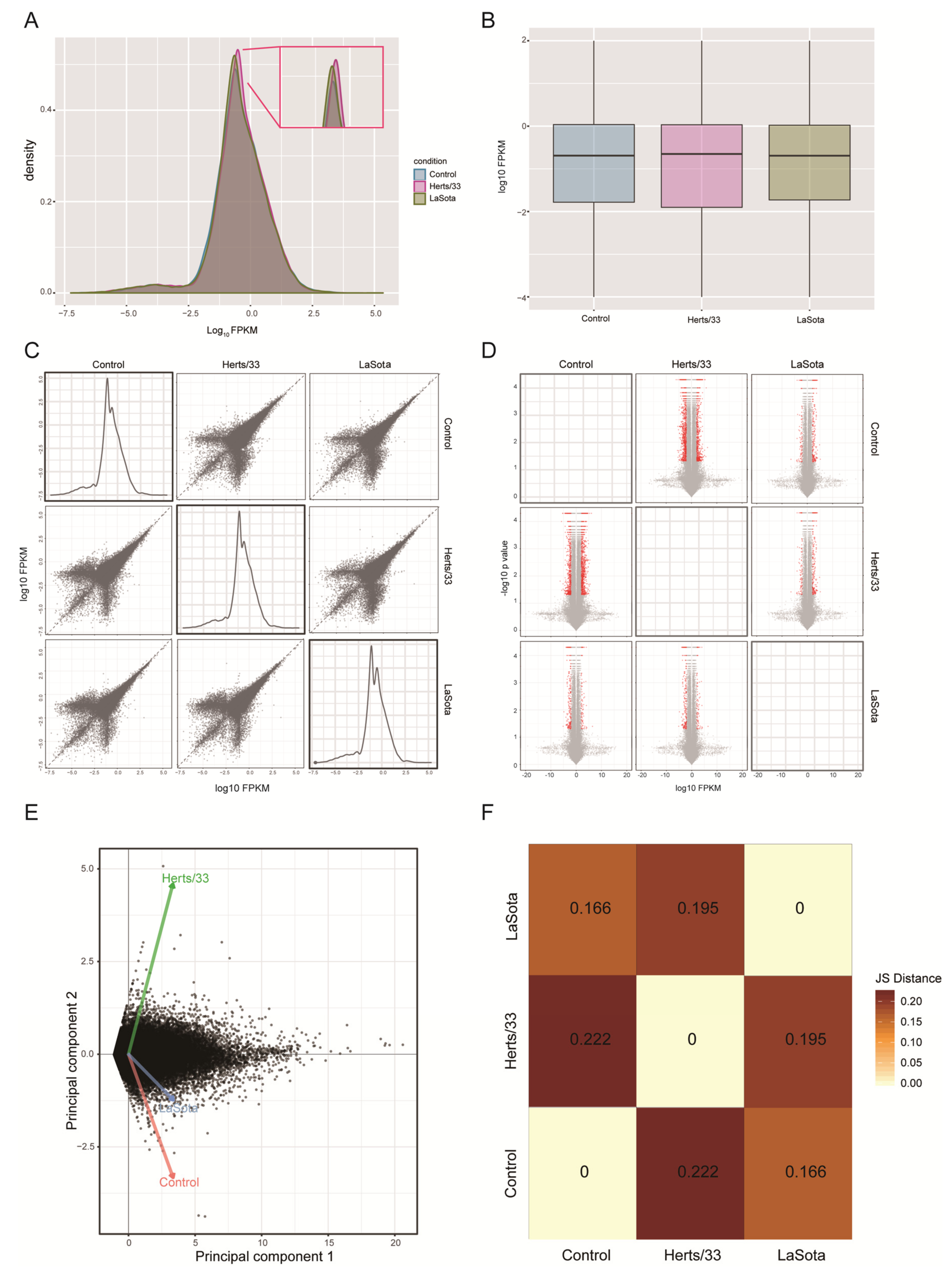 Viruses 13 02409 g001