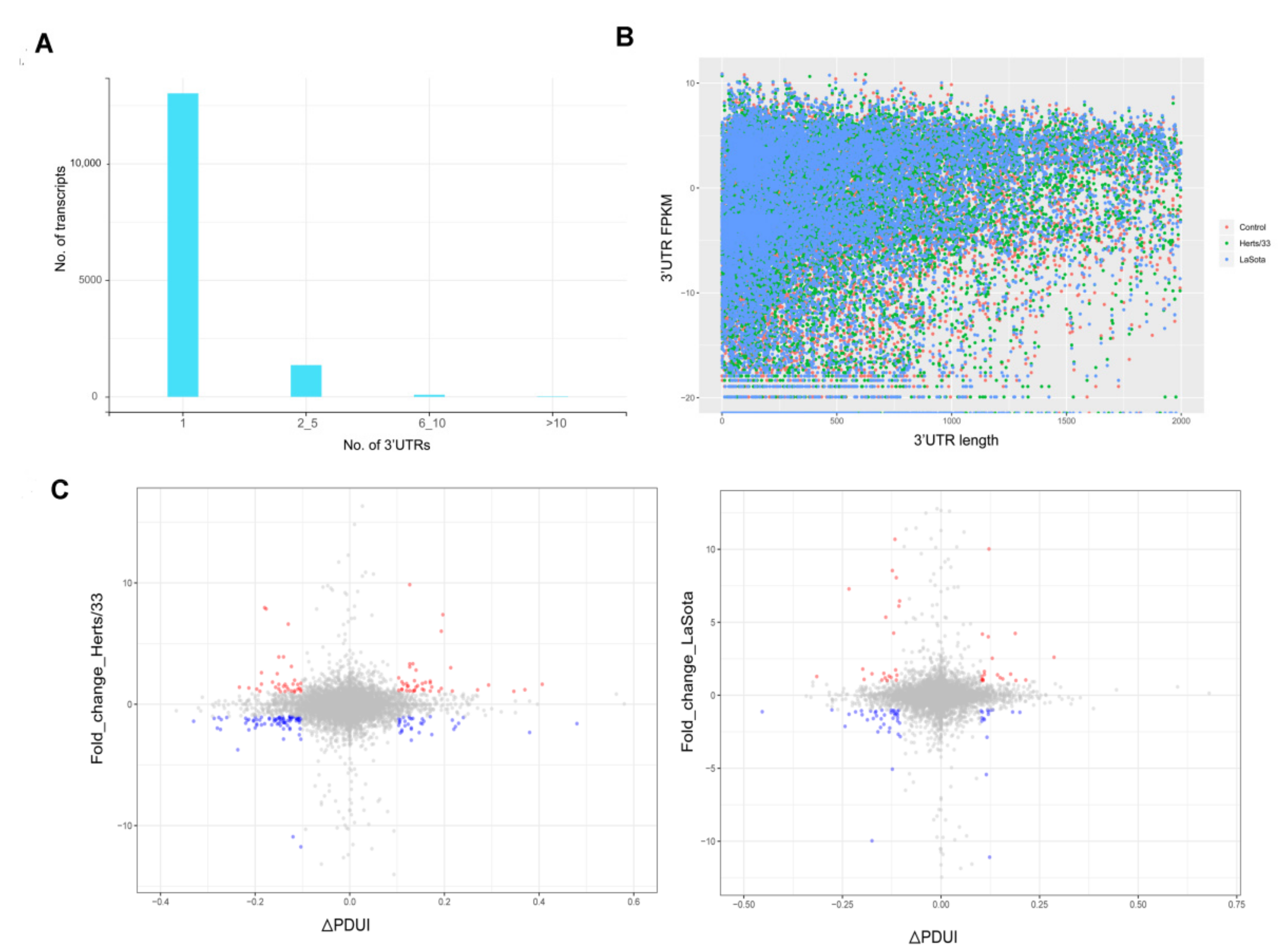 Viruses 13 02409 g005