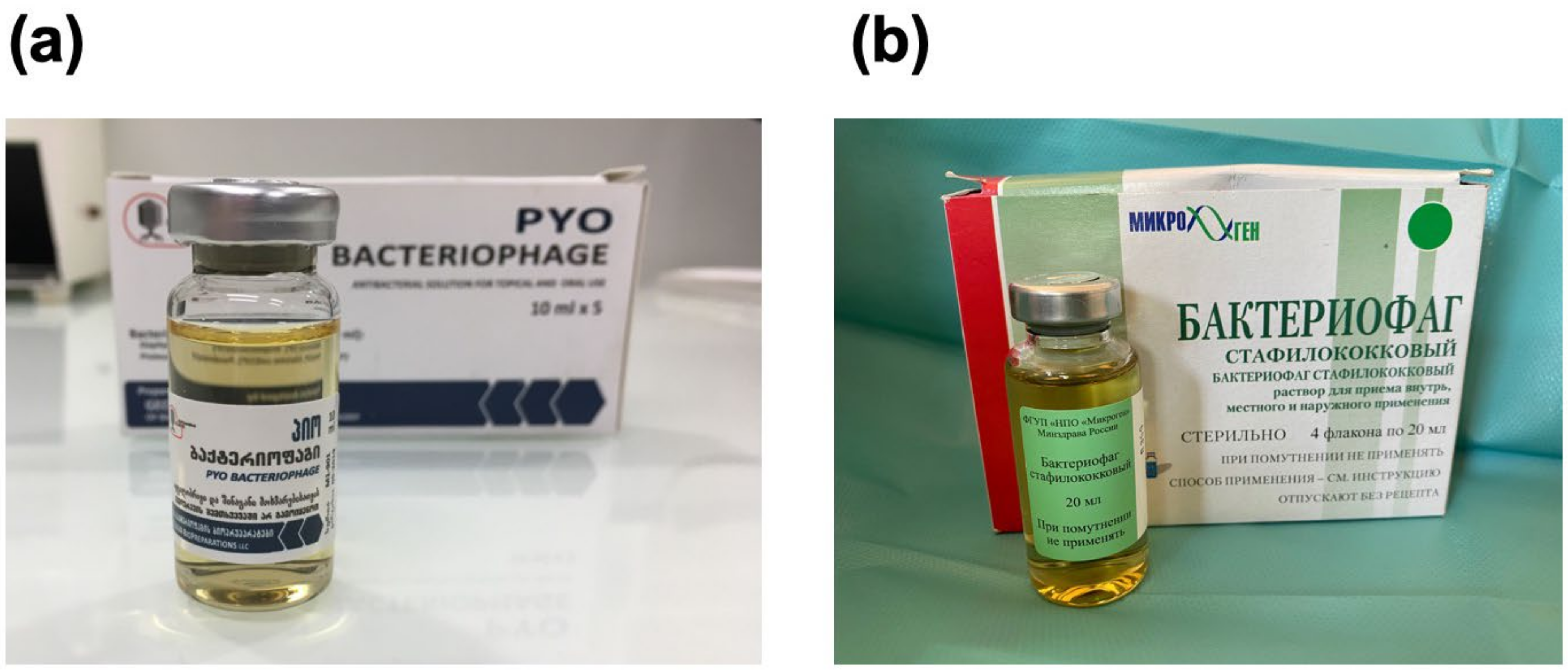 Viruses 13 02414 g003