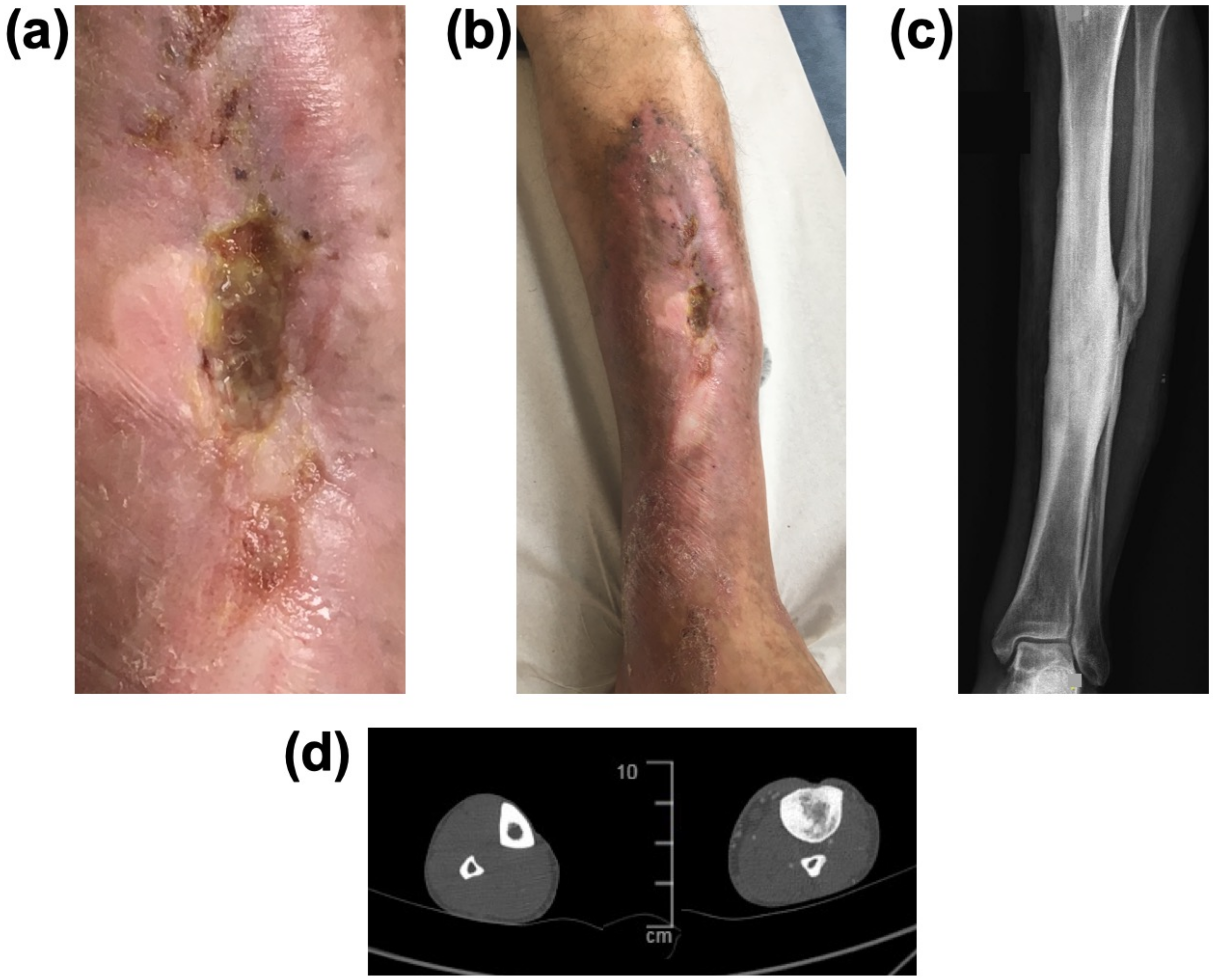 Viruses 13 02414 g005