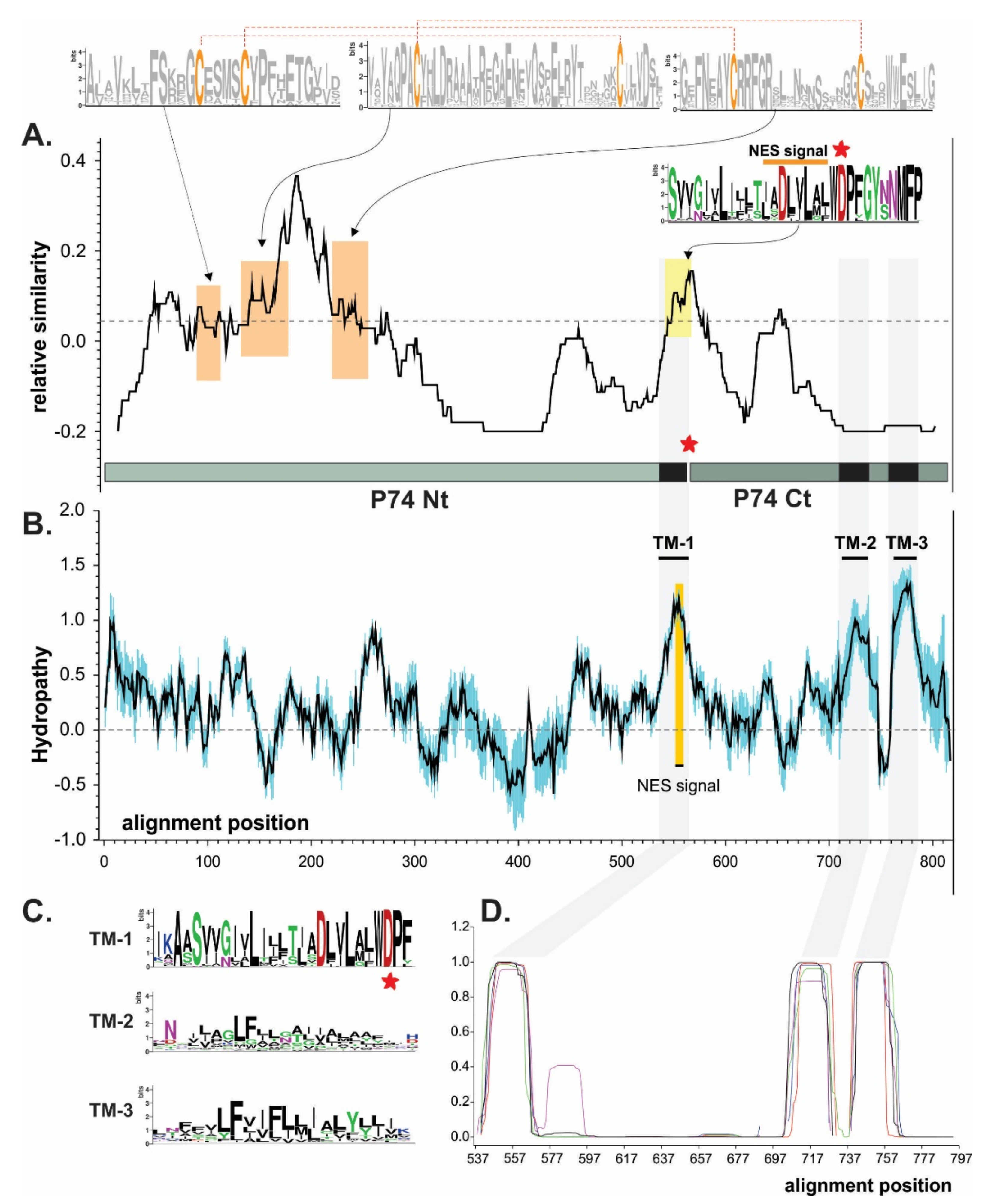 Viruses 13 02416 g002 Viruses 13 02416 g002