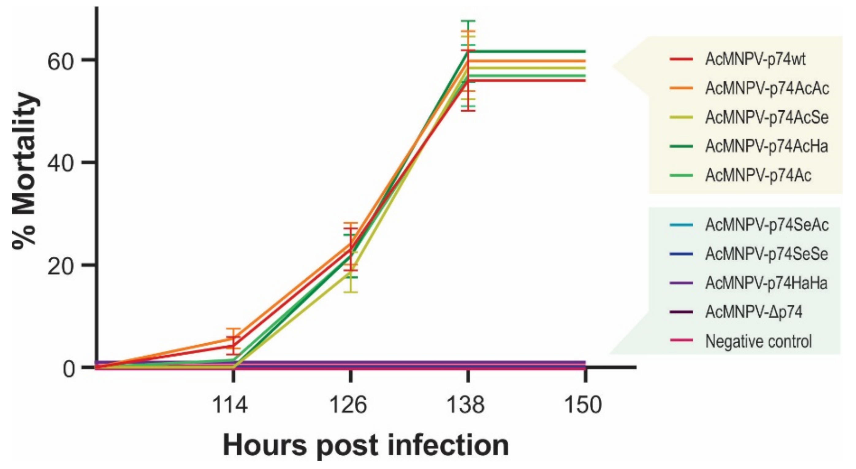 Viruses 13 02416 g007 Viruses 13 02416 g007