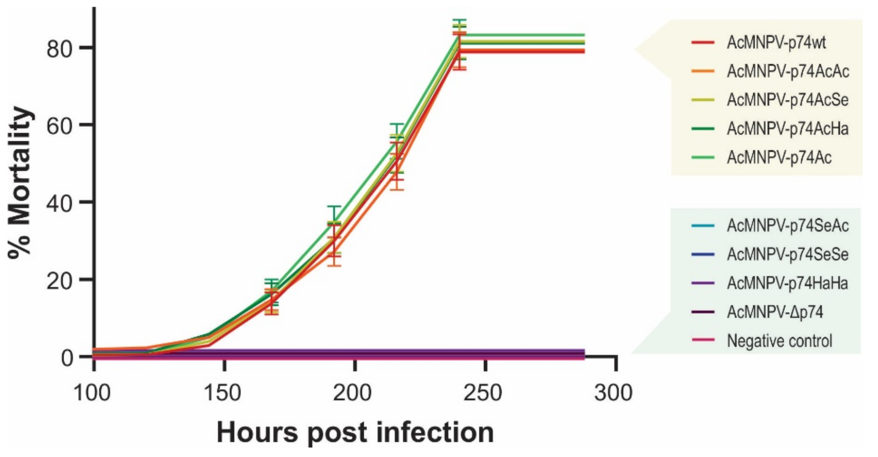 Viruses 13 02416 g008 Viruses 13 02416 g008